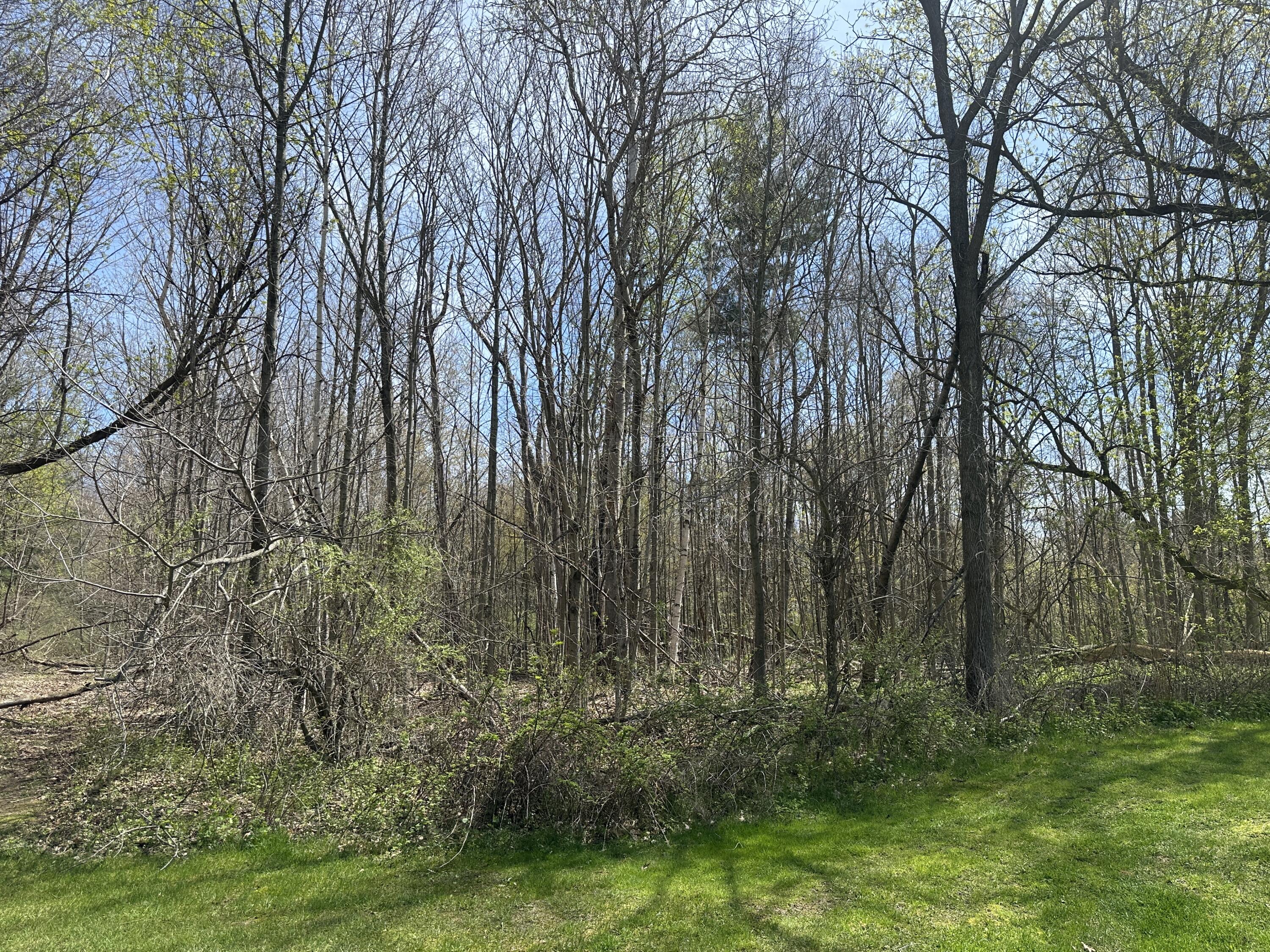 Atkins Road Property Photo 15