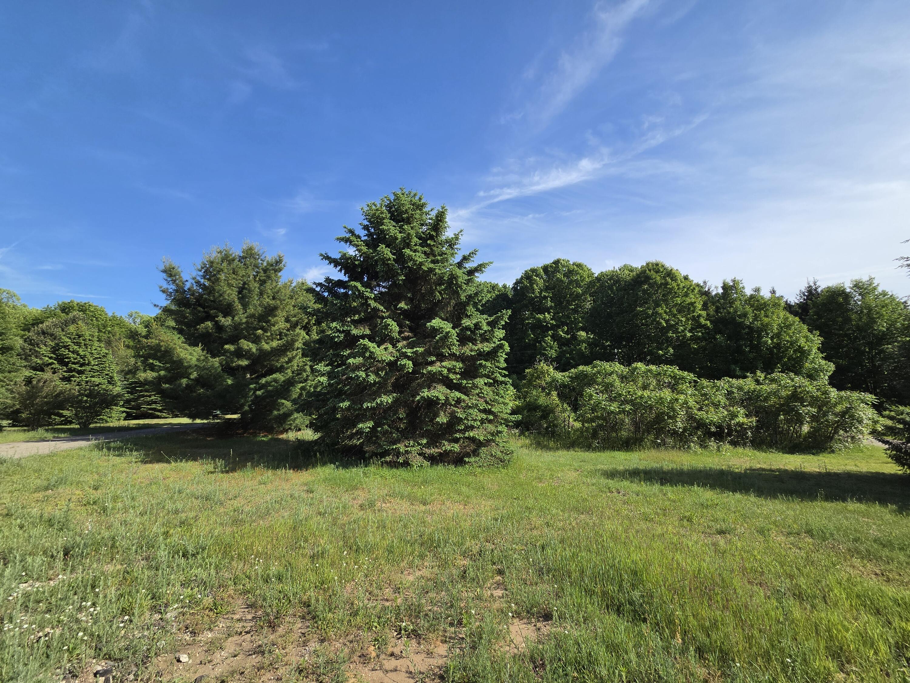 6829 Dale Court Property Photo 8