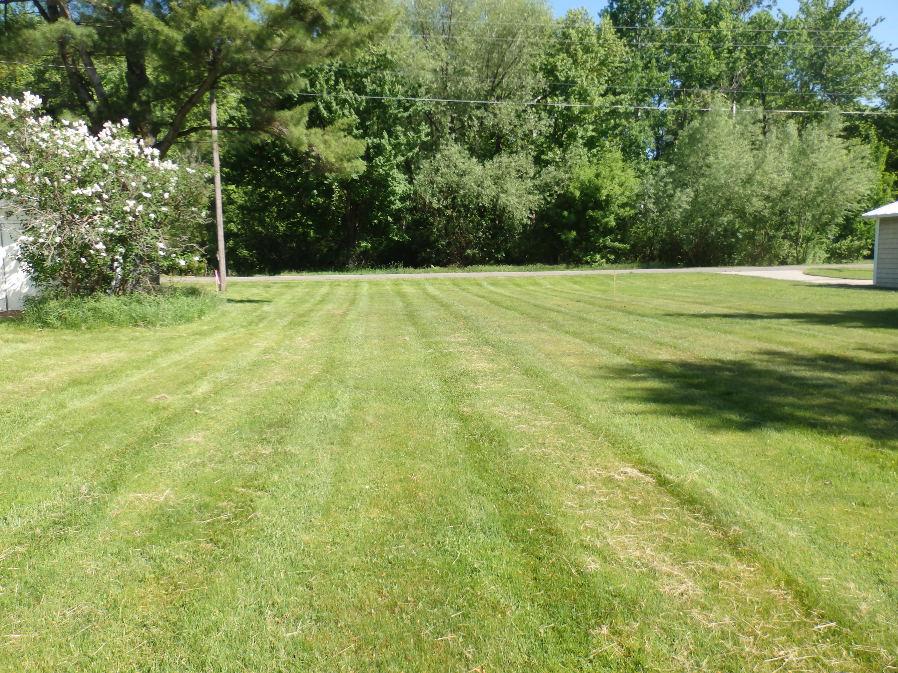 Bair Avenue Property Photo 3