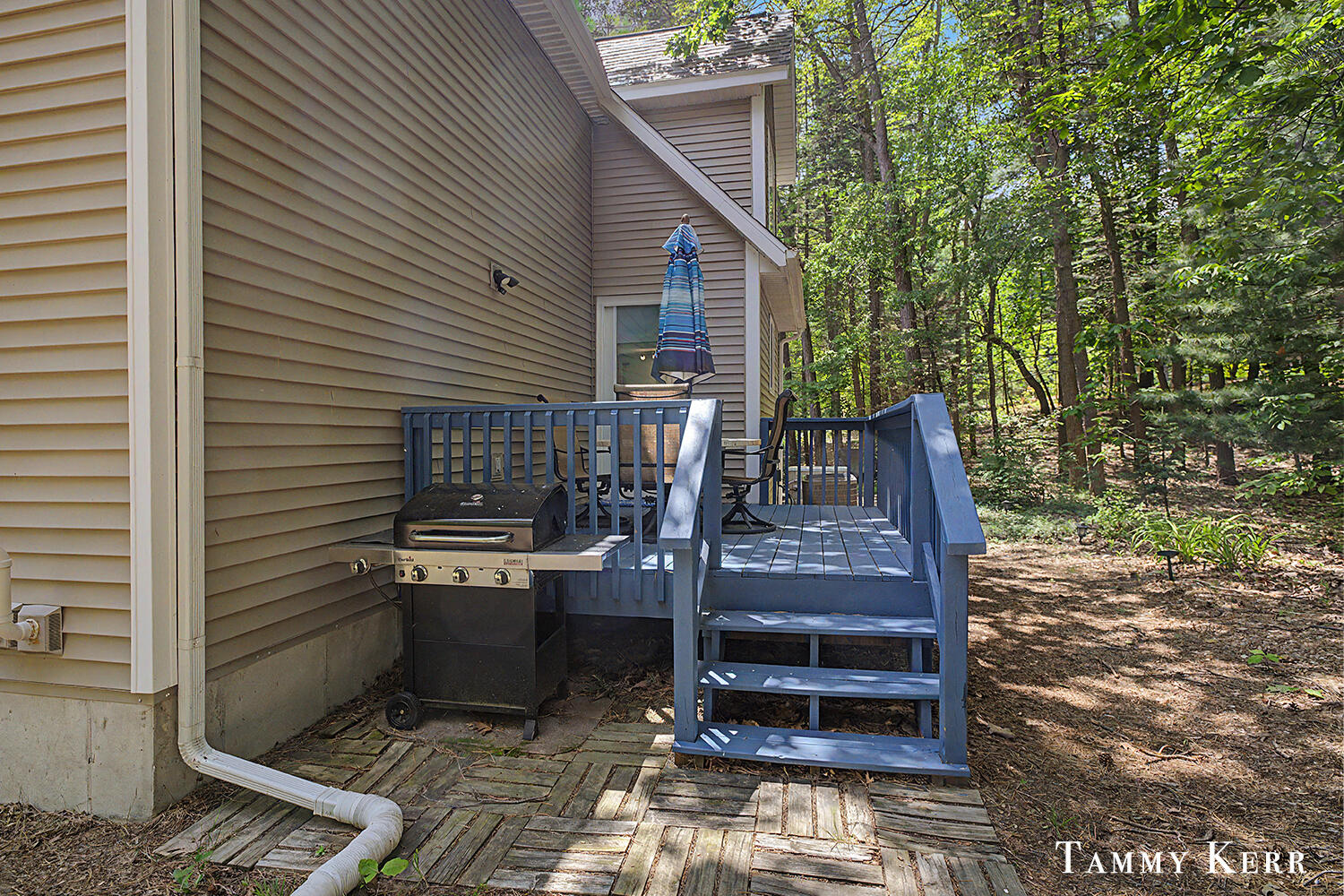 2339 Forest Trail Circle Property Photo 31