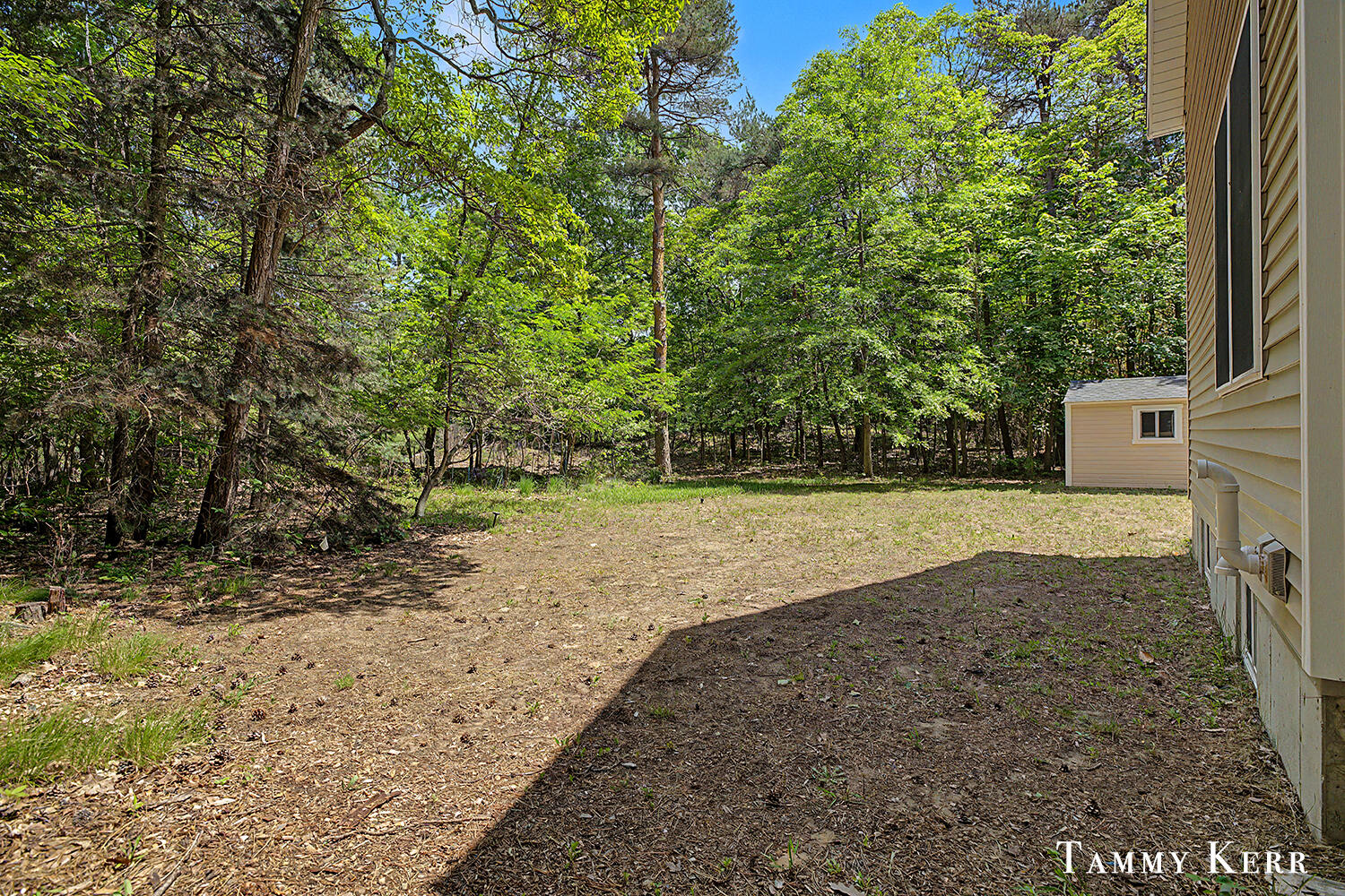2339 Forest Trail Circle Property Photo 32