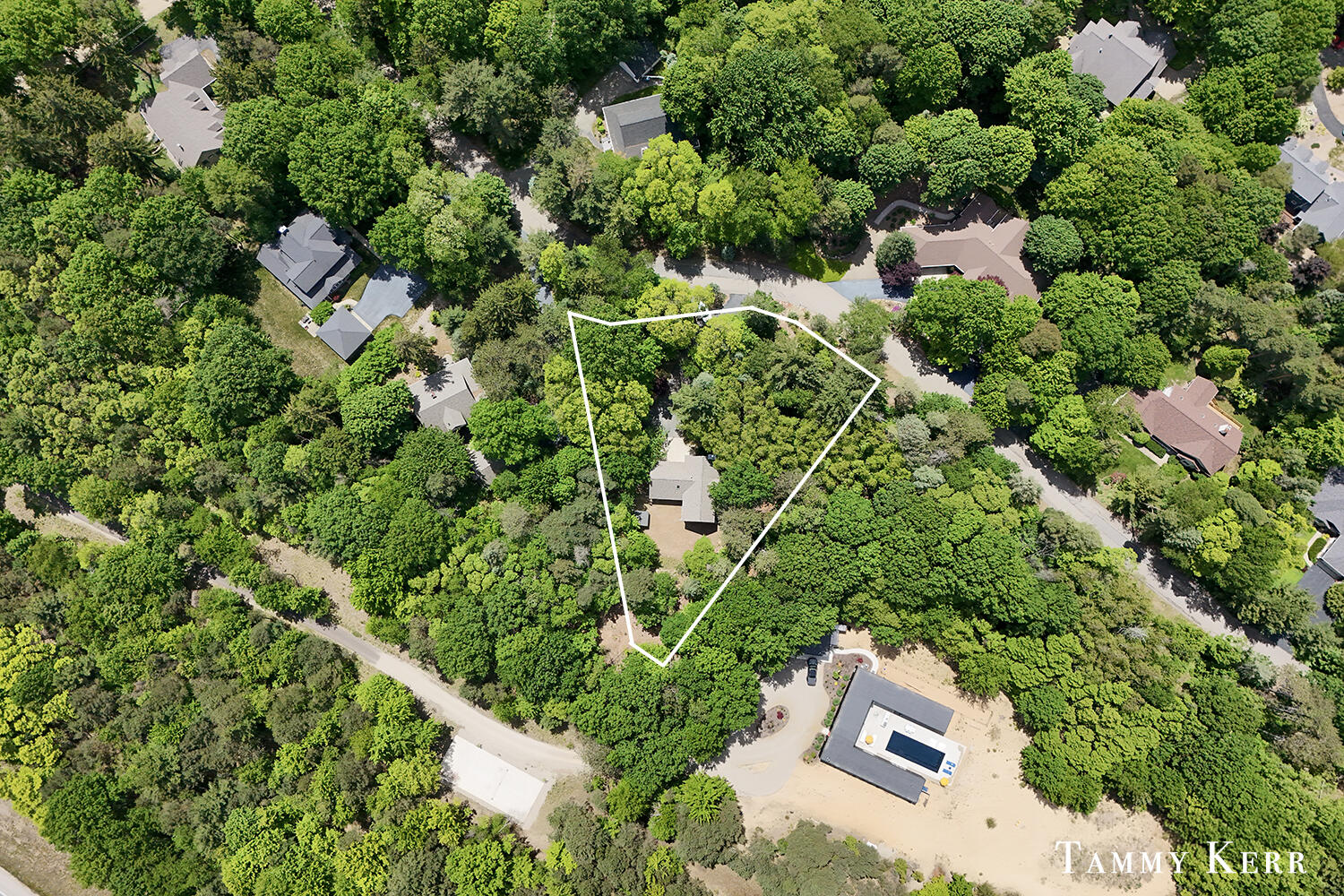 2339 Forest Trail Circle Property Photo 40