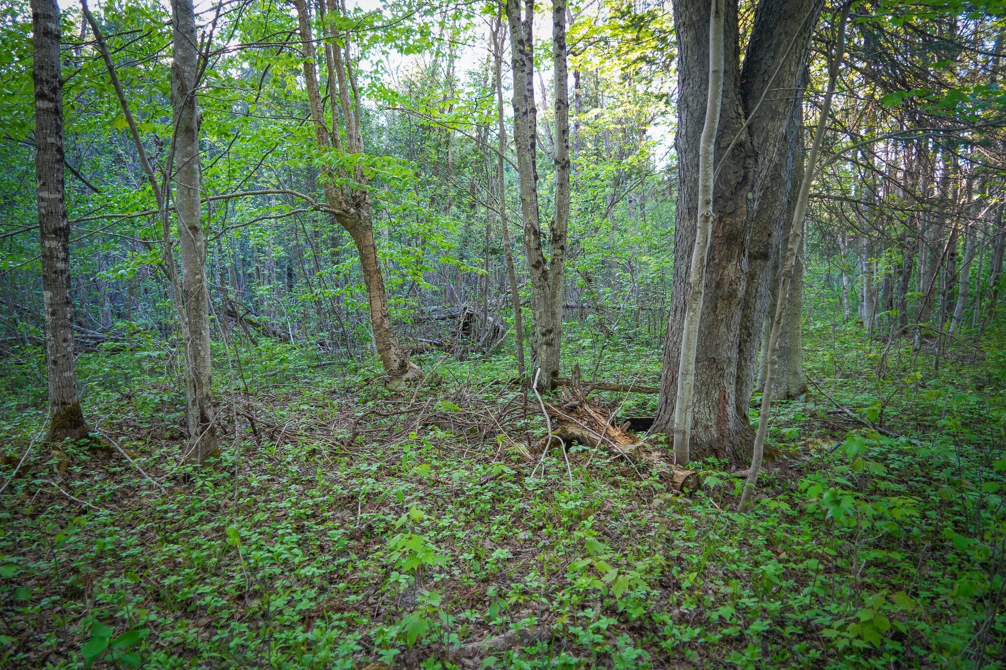V/l 33 Road Property Photo 39