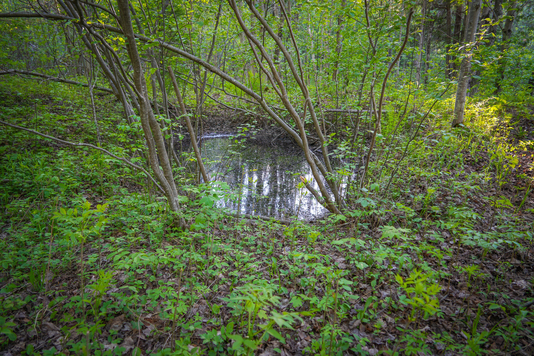 V/l 33 Road Property Photo 41