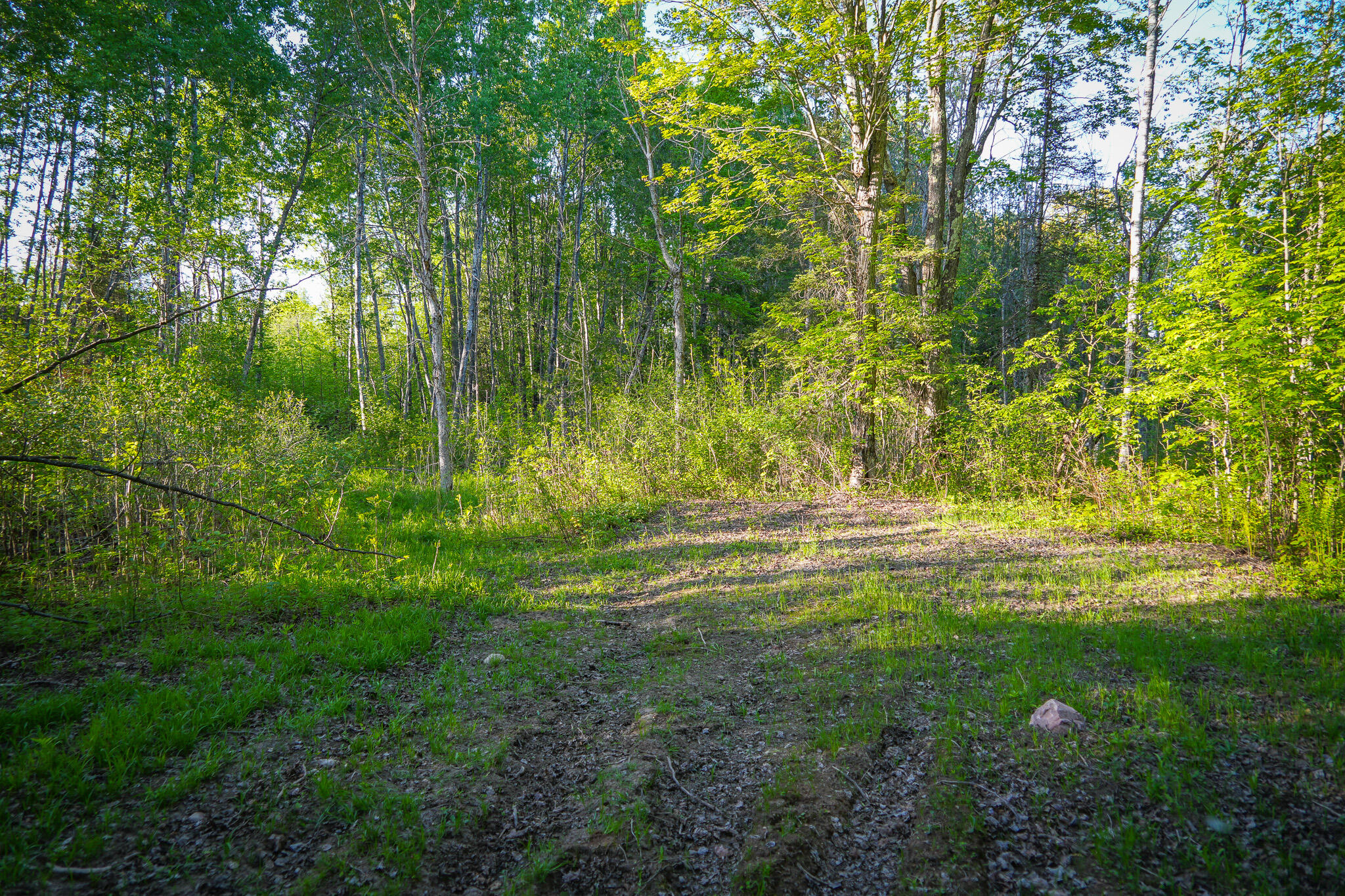 V/l 33 Road Property Photo 43