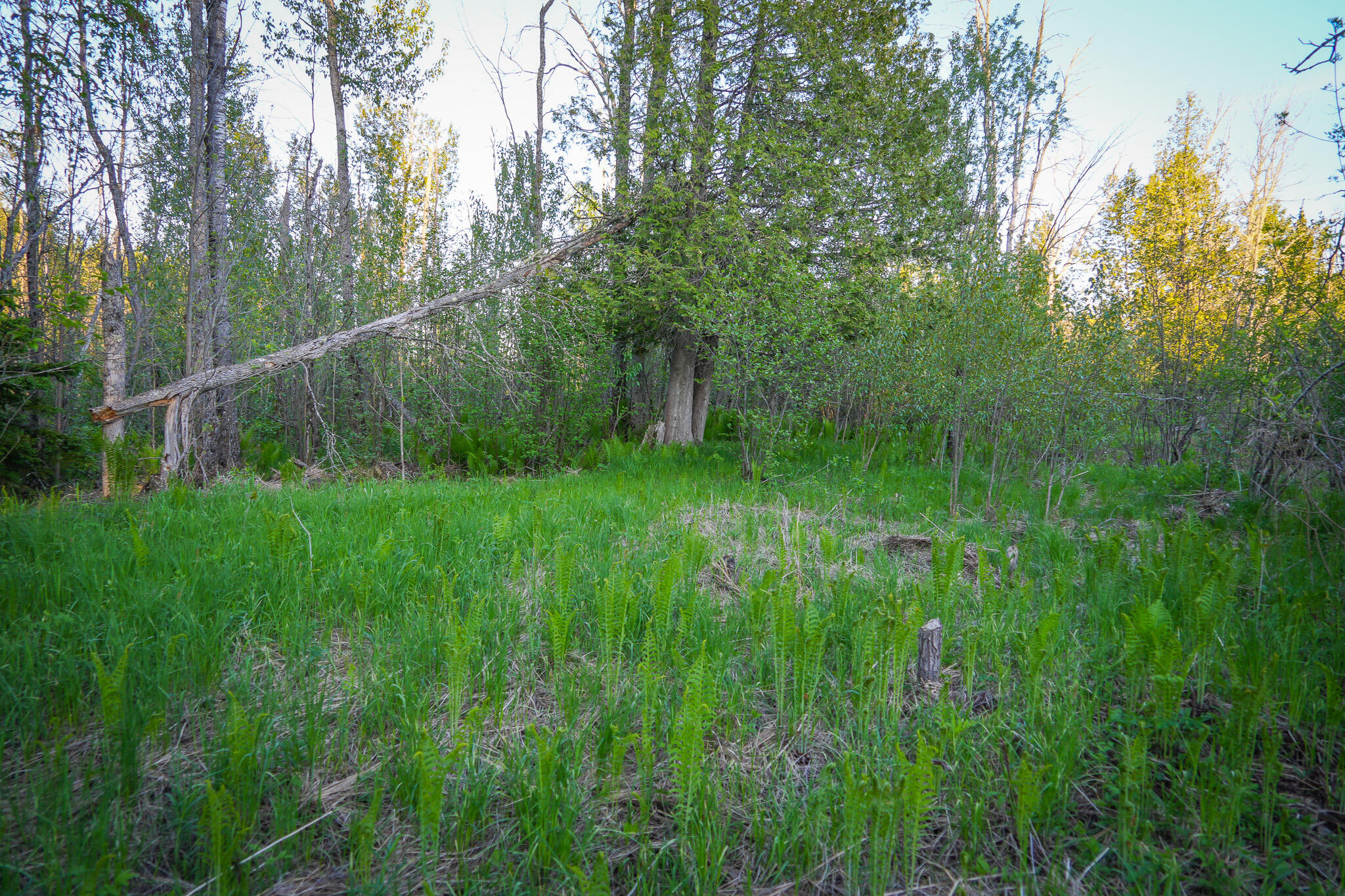 V/l 33 Road Property Photo 49
