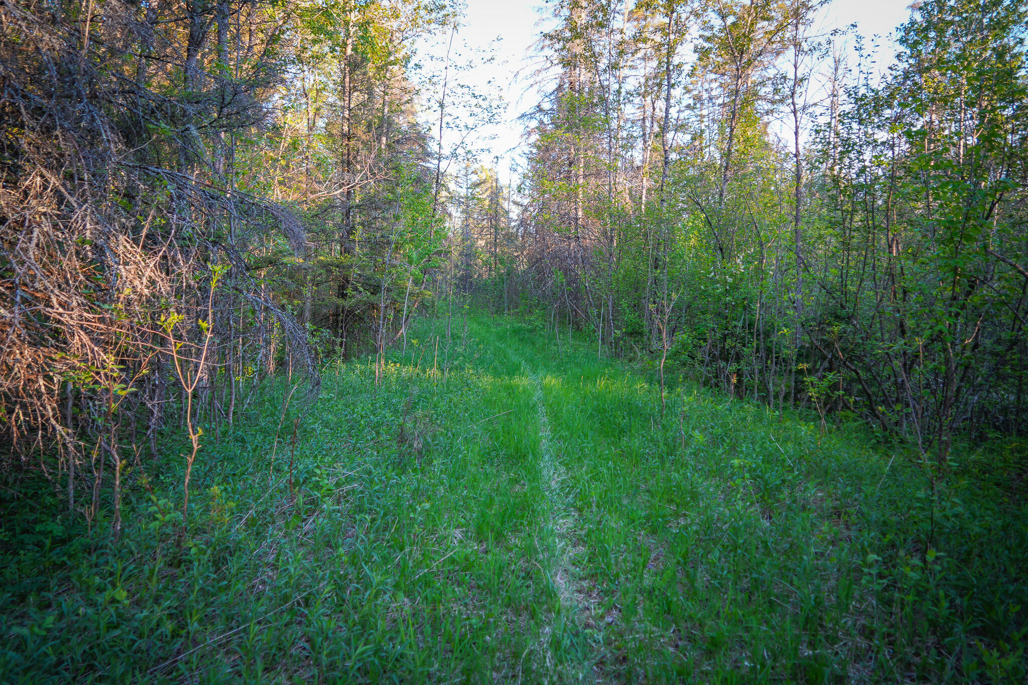 V/l 33 Road Property Photo 50