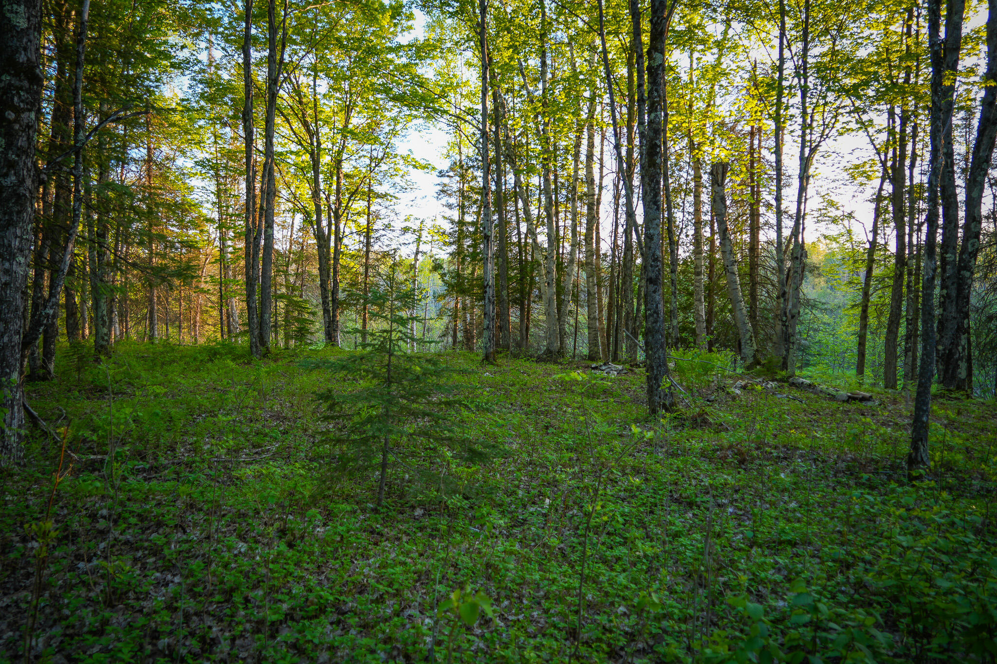 V/l 33 Road Property Photo 52
