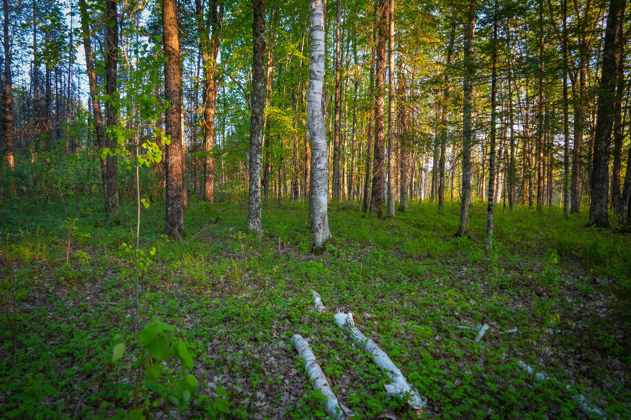 V/l 33 Road Property Photo 54