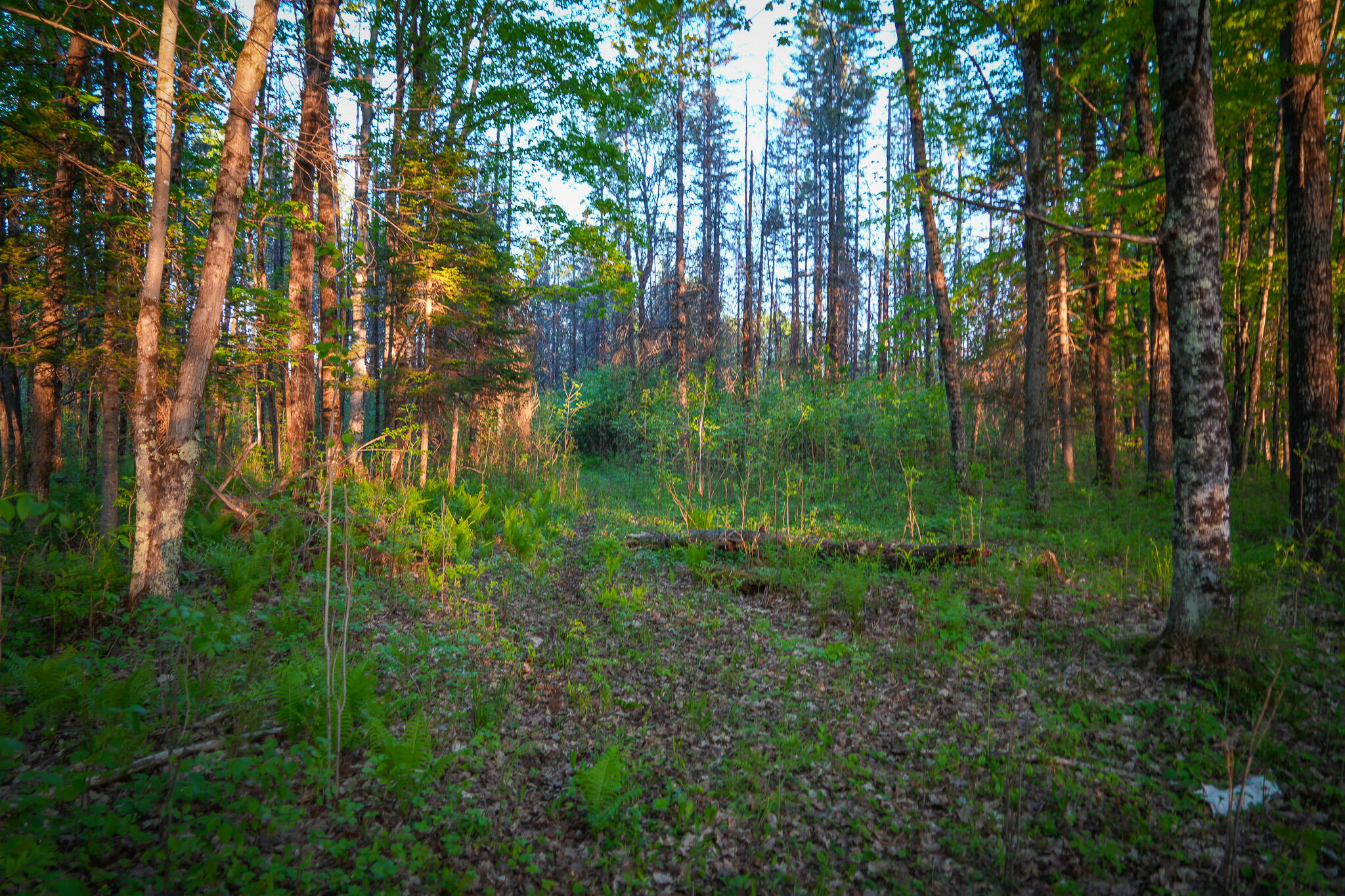 V/l 33 Road Property Photo 55