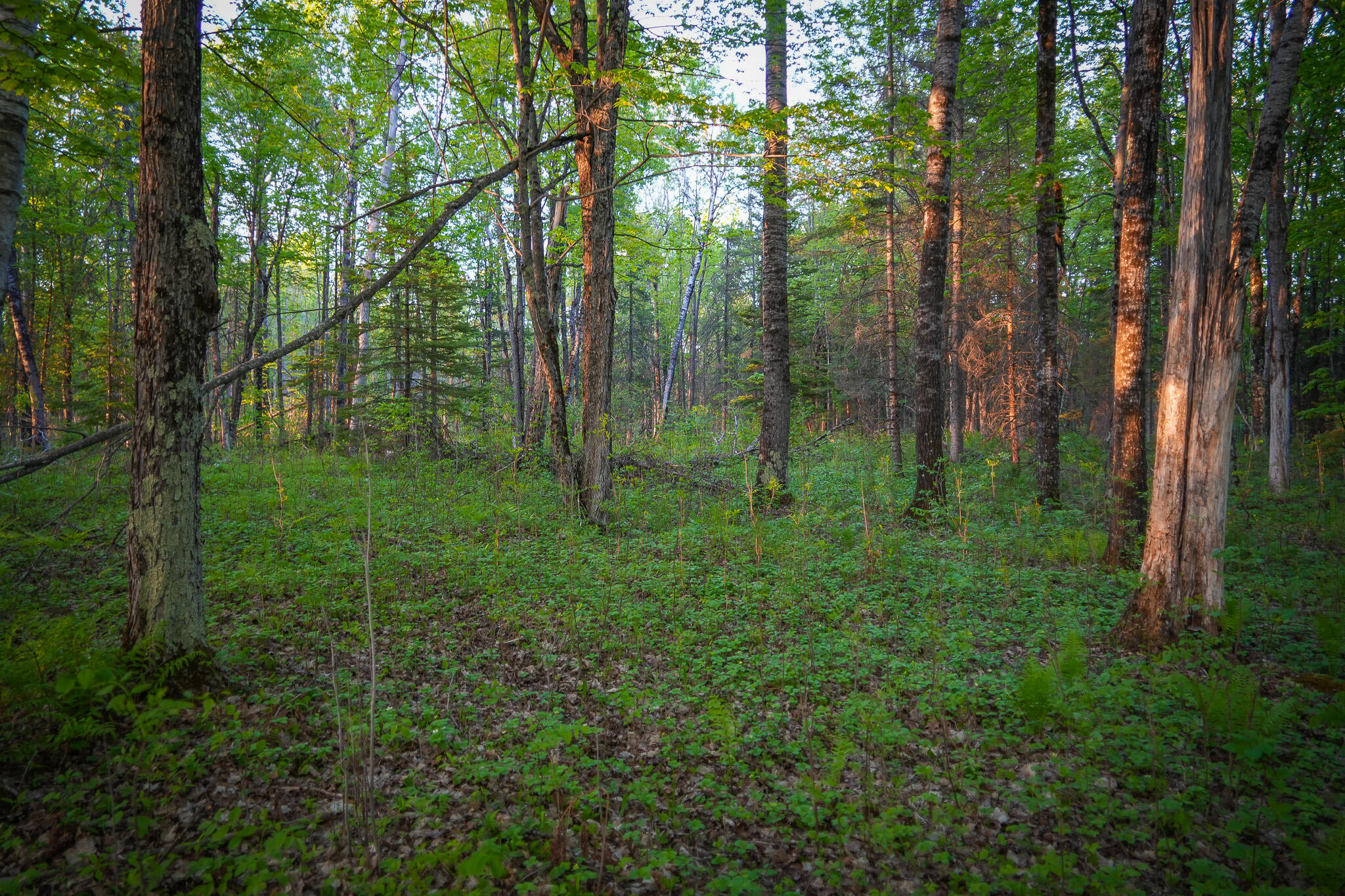 V/l 33 Road Property Photo 58