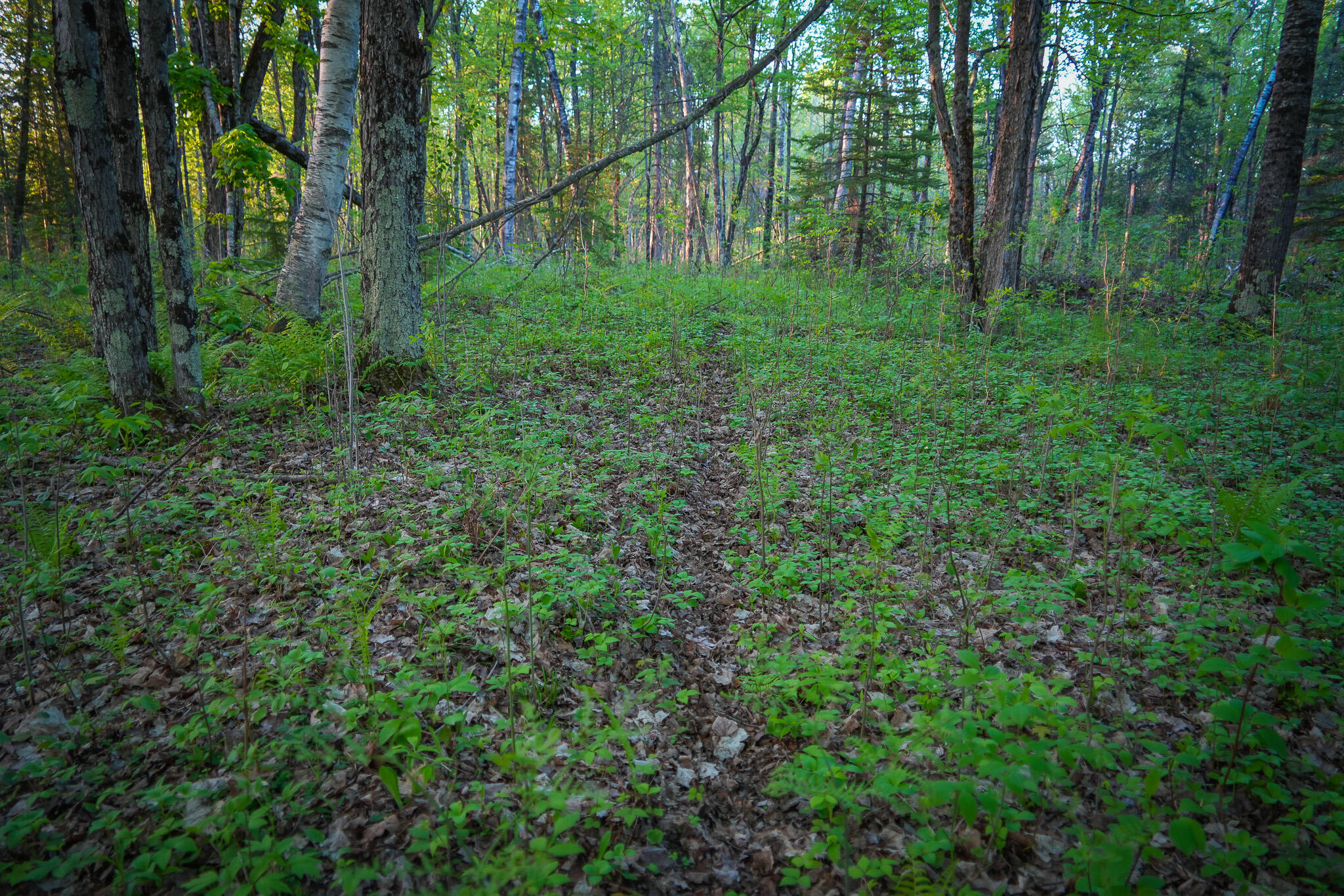 V/l 33 Road Property Photo 59
