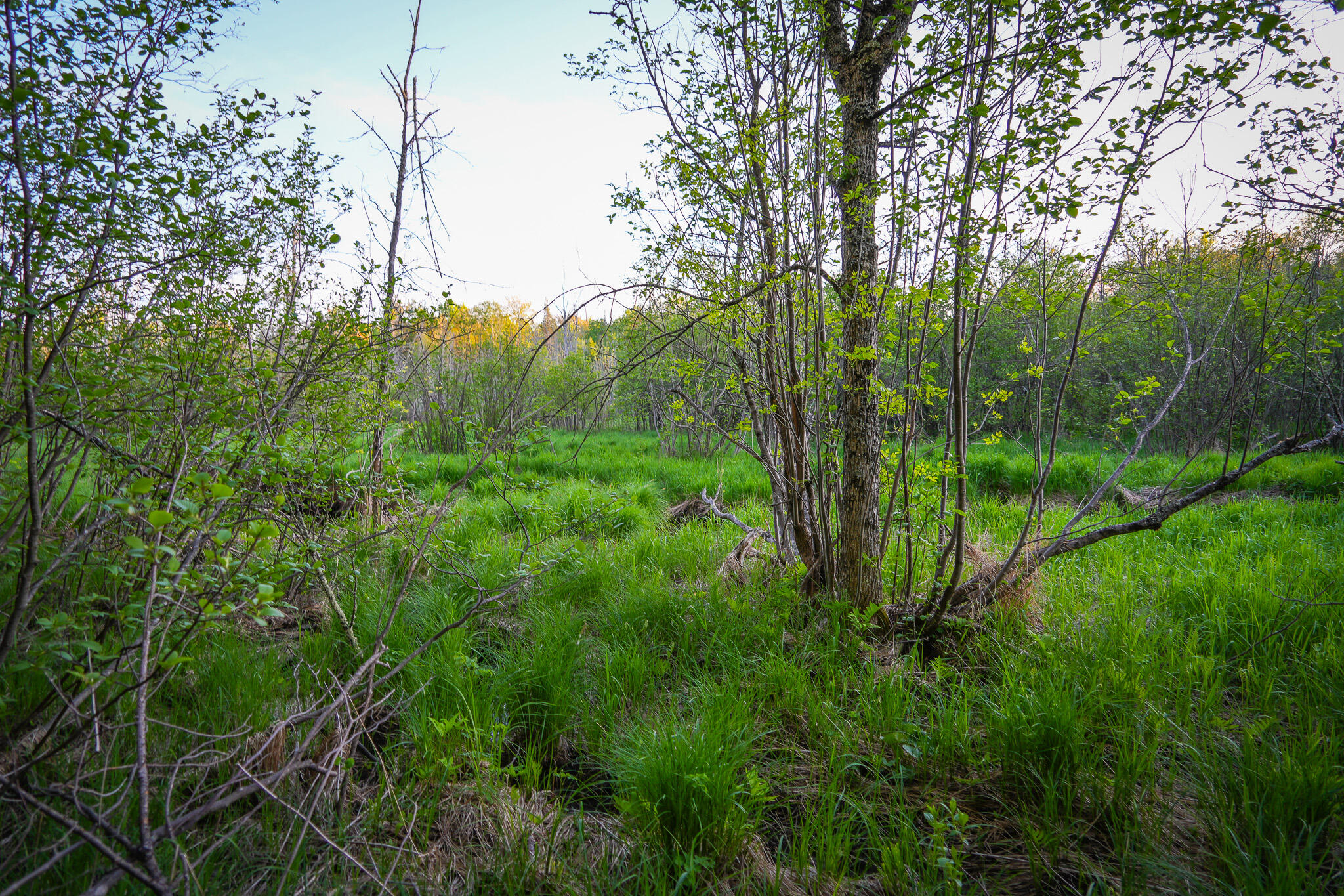 V/l 33 Road Property Photo 61