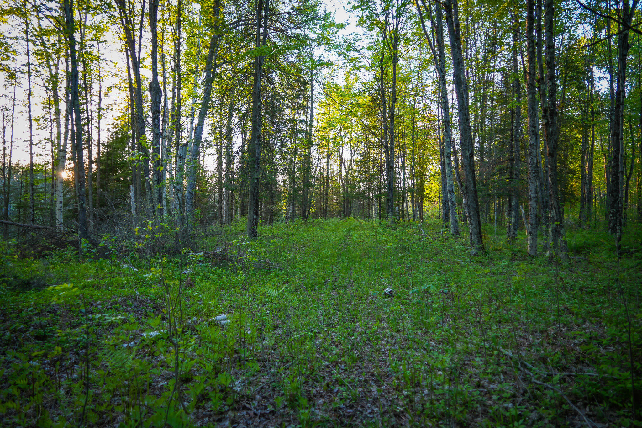 V/l 33 Road Property Photo 63