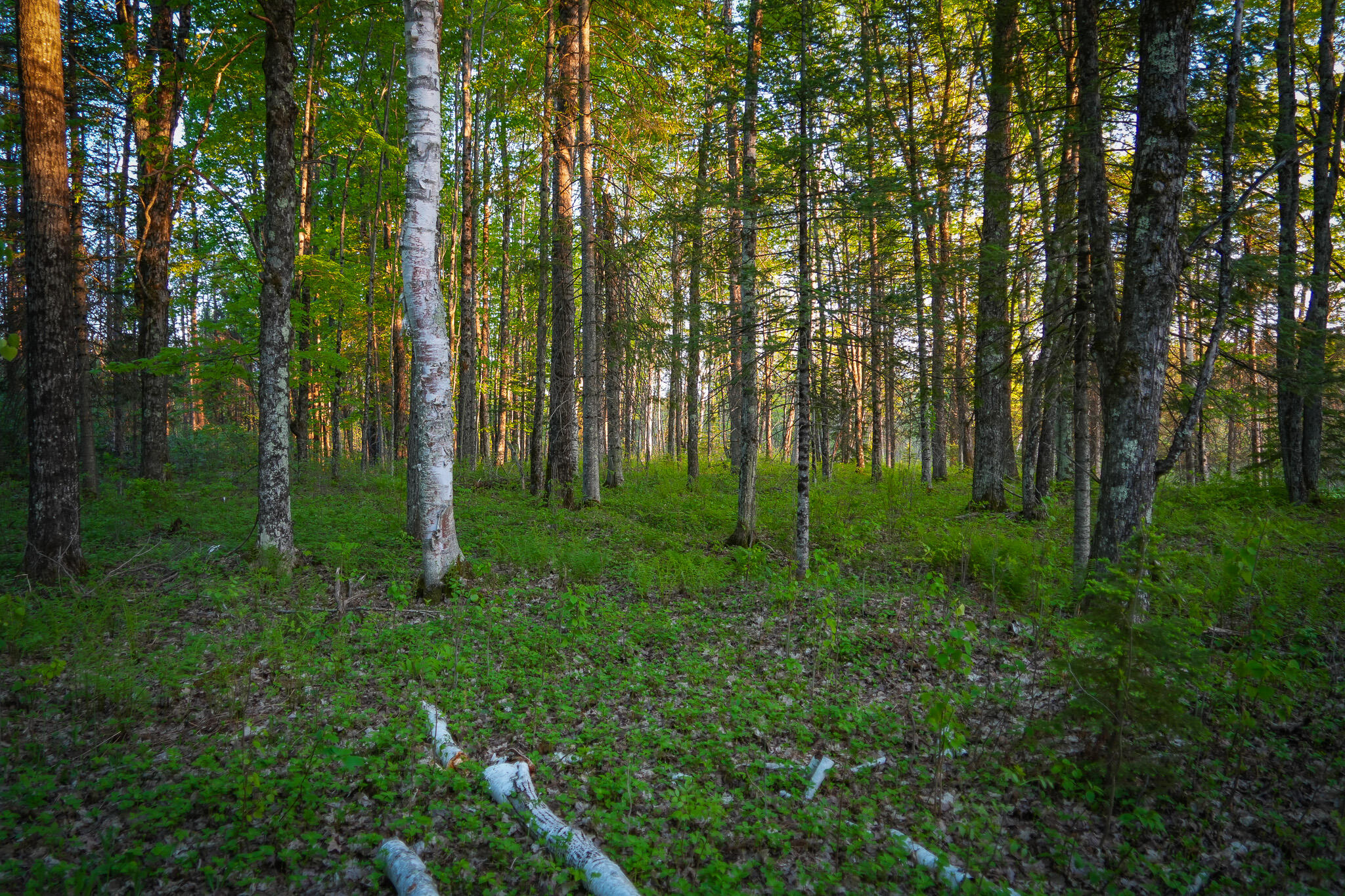 V/l 33 Road Property Photo 64