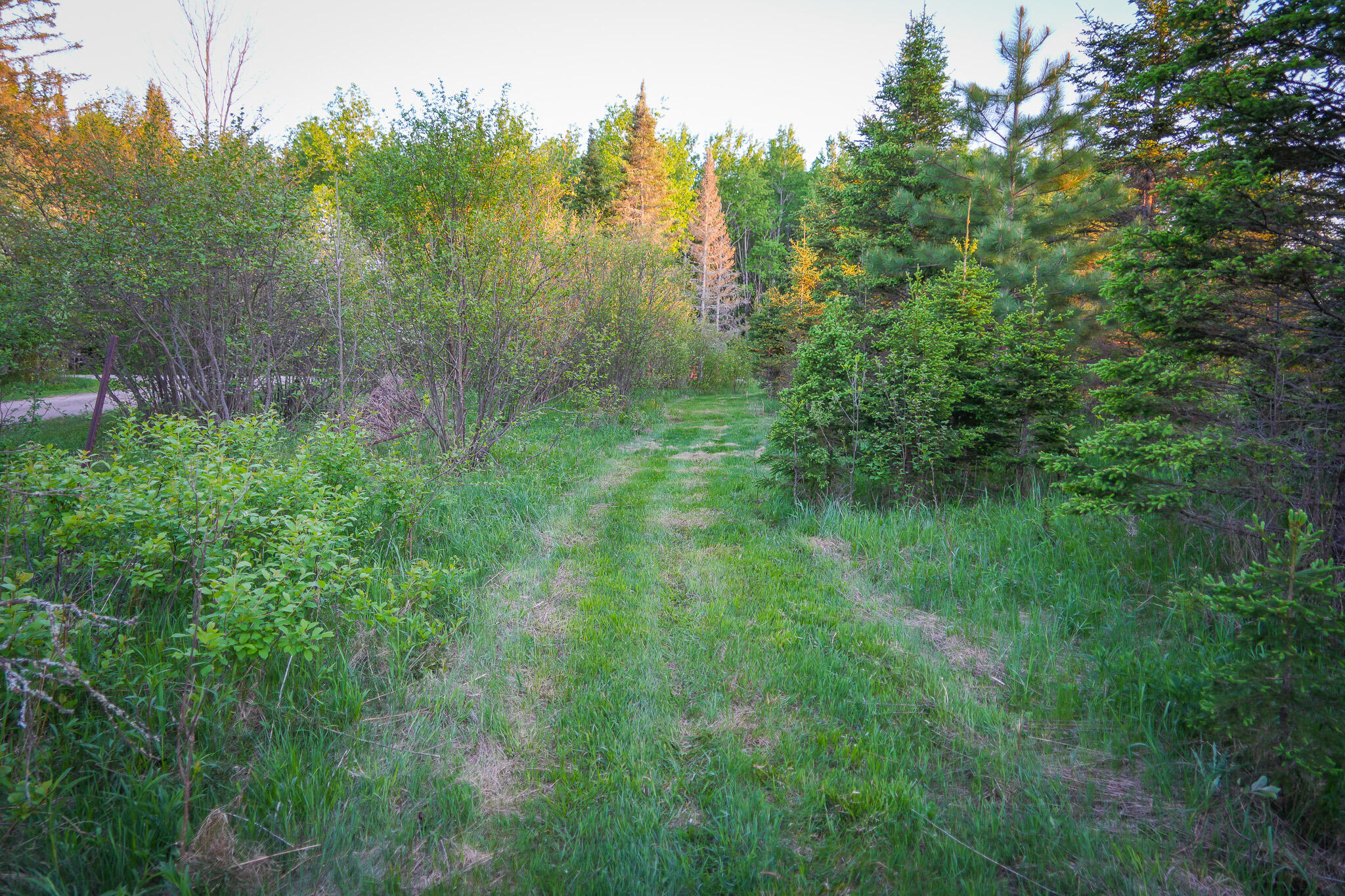 V/l 33 Road Property Photo 65