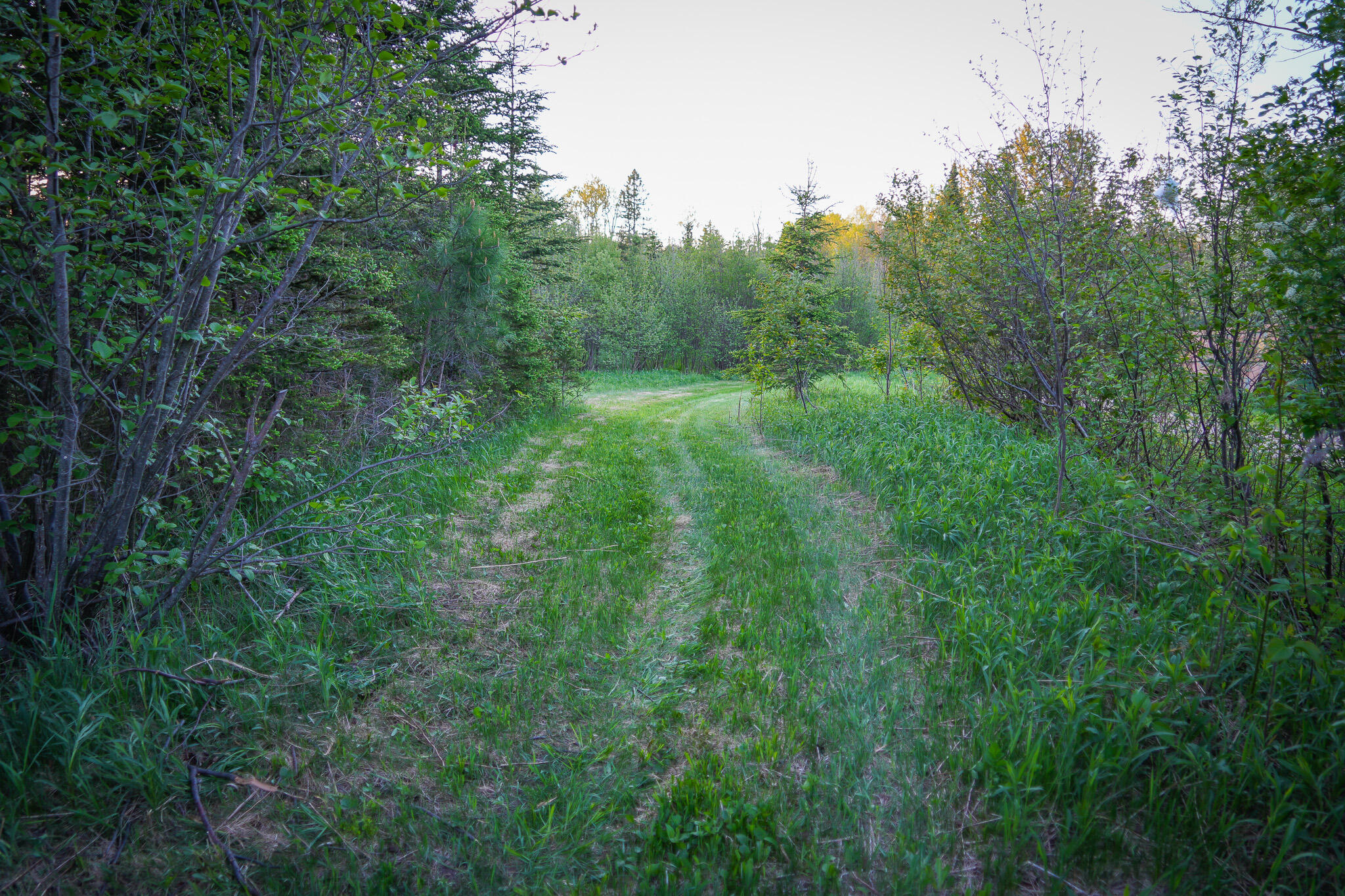V/l 33 Road Property Photo 66