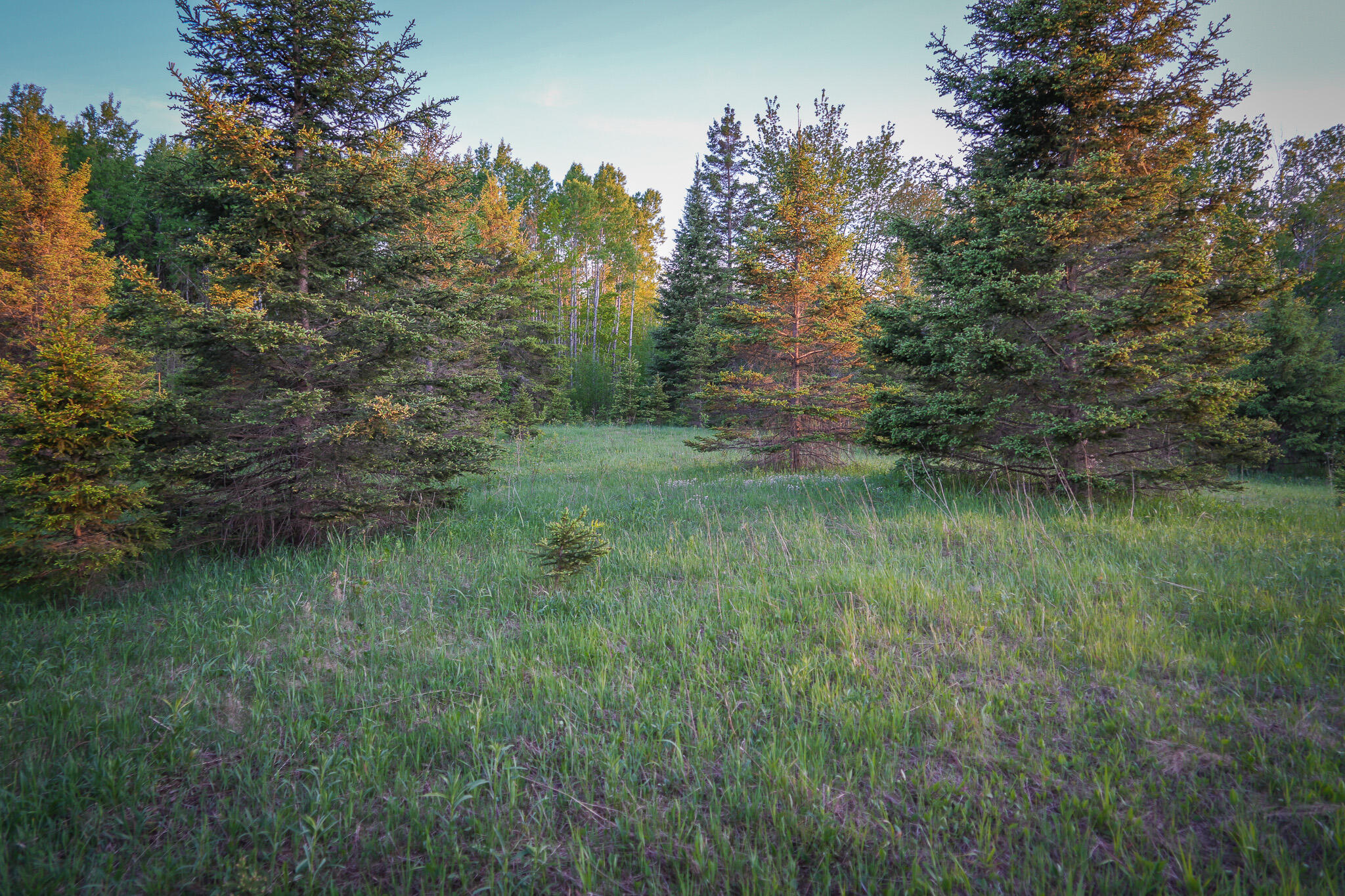 V/l 33 Road Property Photo 68