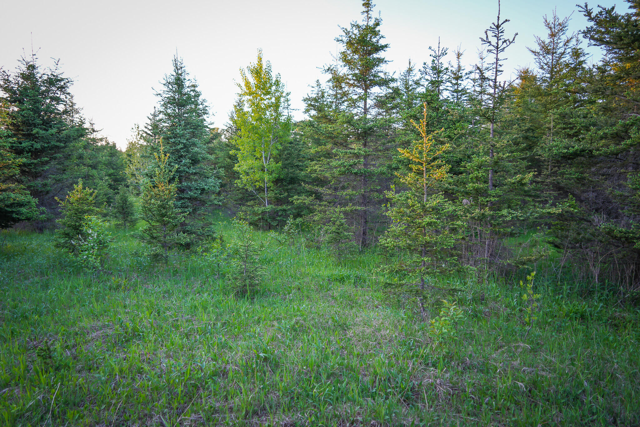 V/l 33 Road Property Photo 69