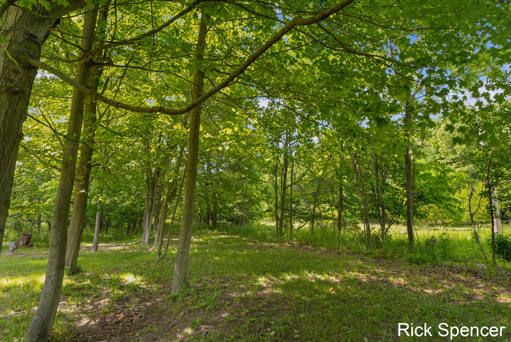3321 Babylon Road Property Photo 54