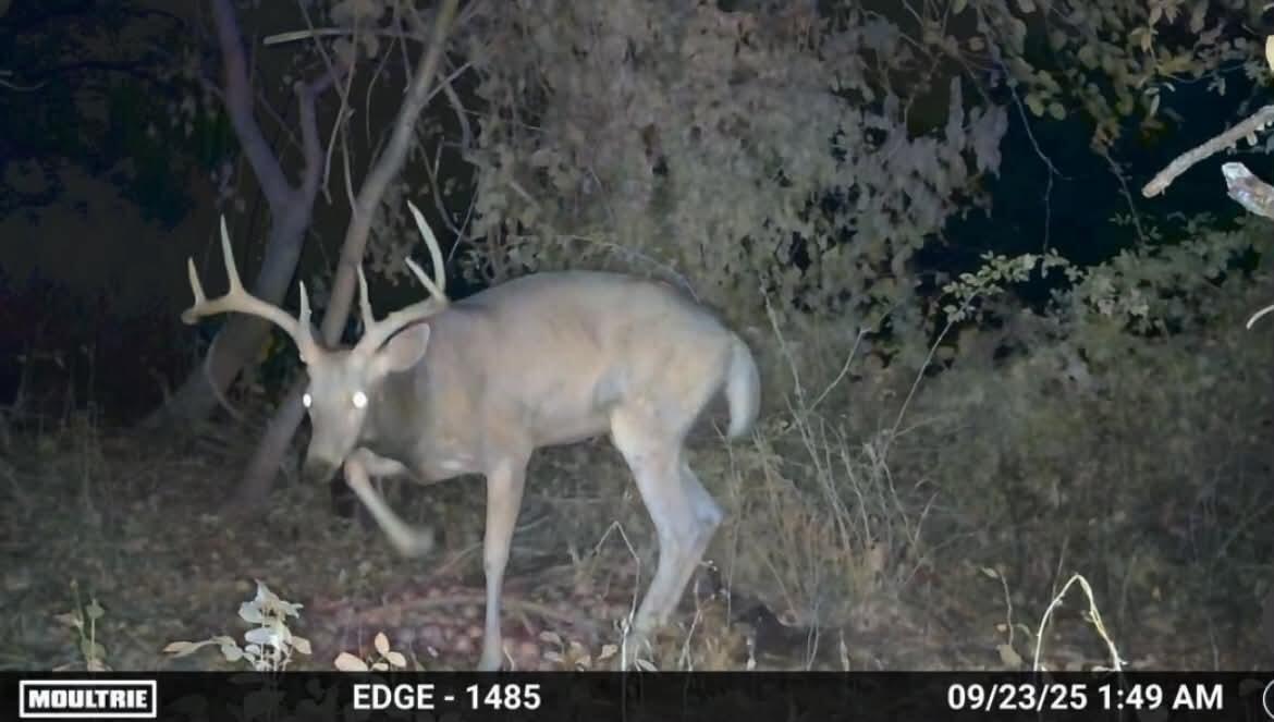 10465 N 32nd Street Property Photo 47