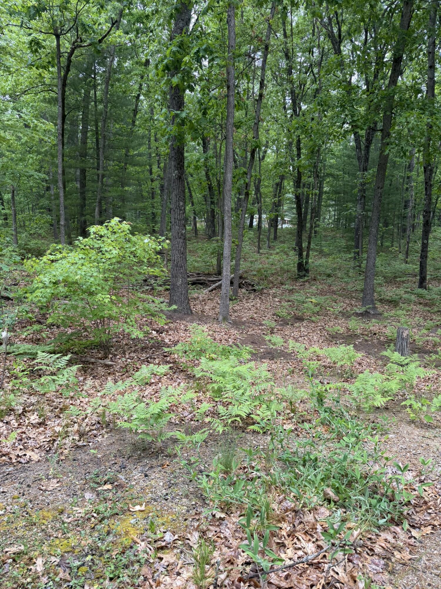 V/l E Sandra Kay Road Property Photo 5