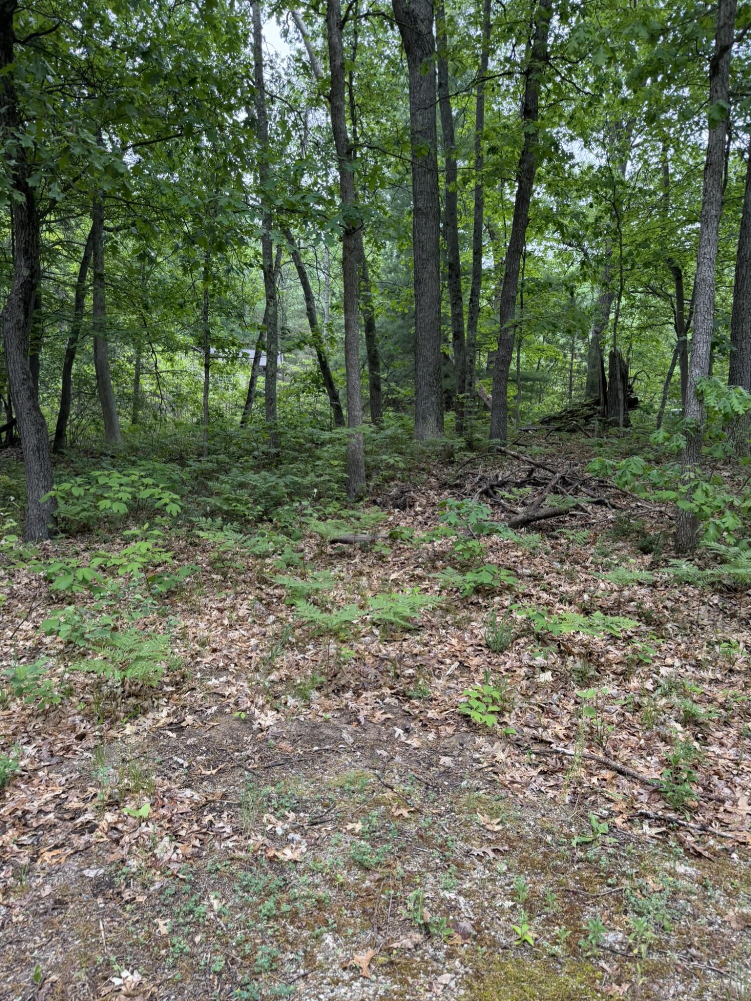 V/l E Sandra Kay Road Property Photo 6