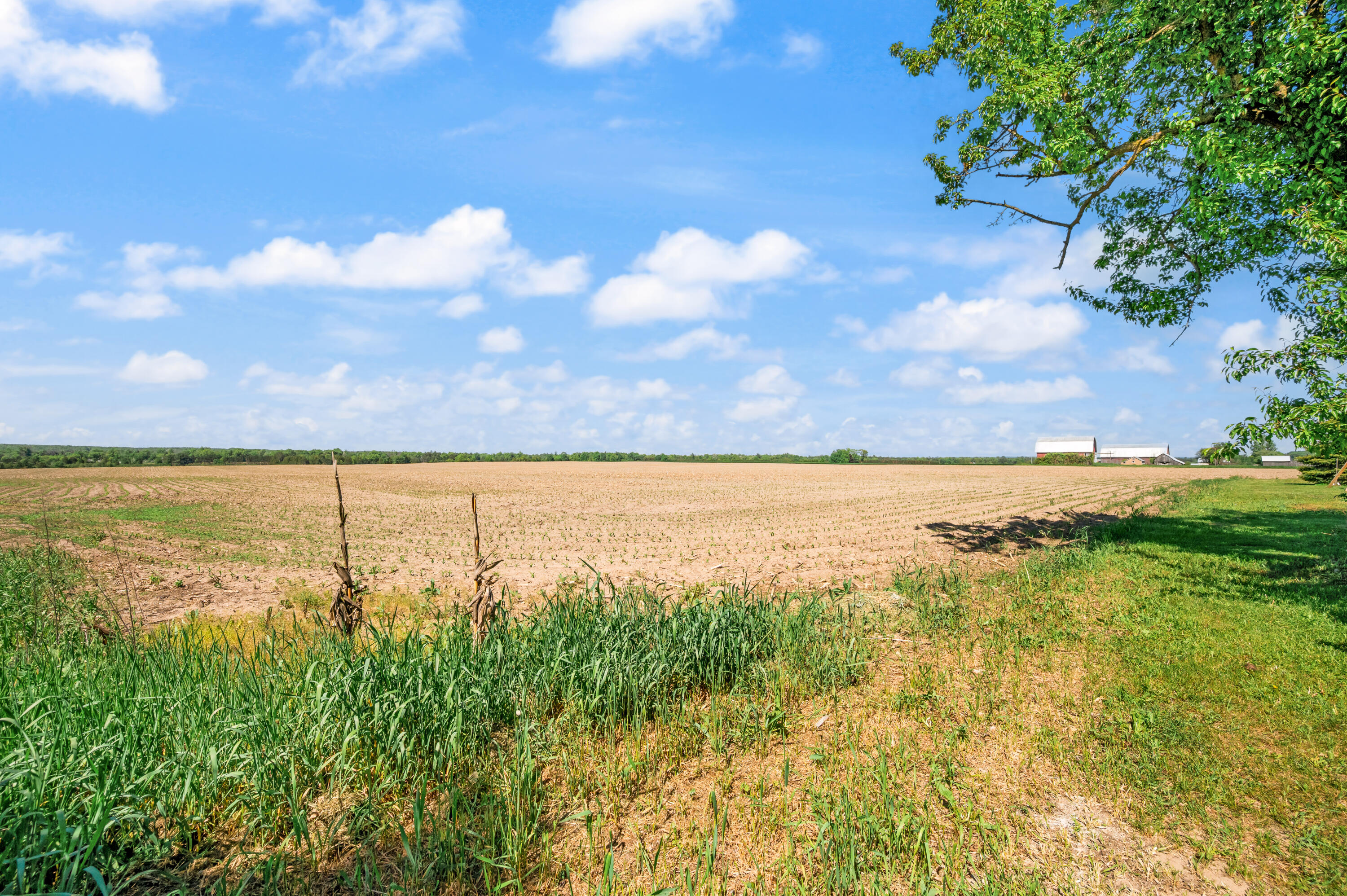 2079 E Stoney Corners Road Property Photo 23