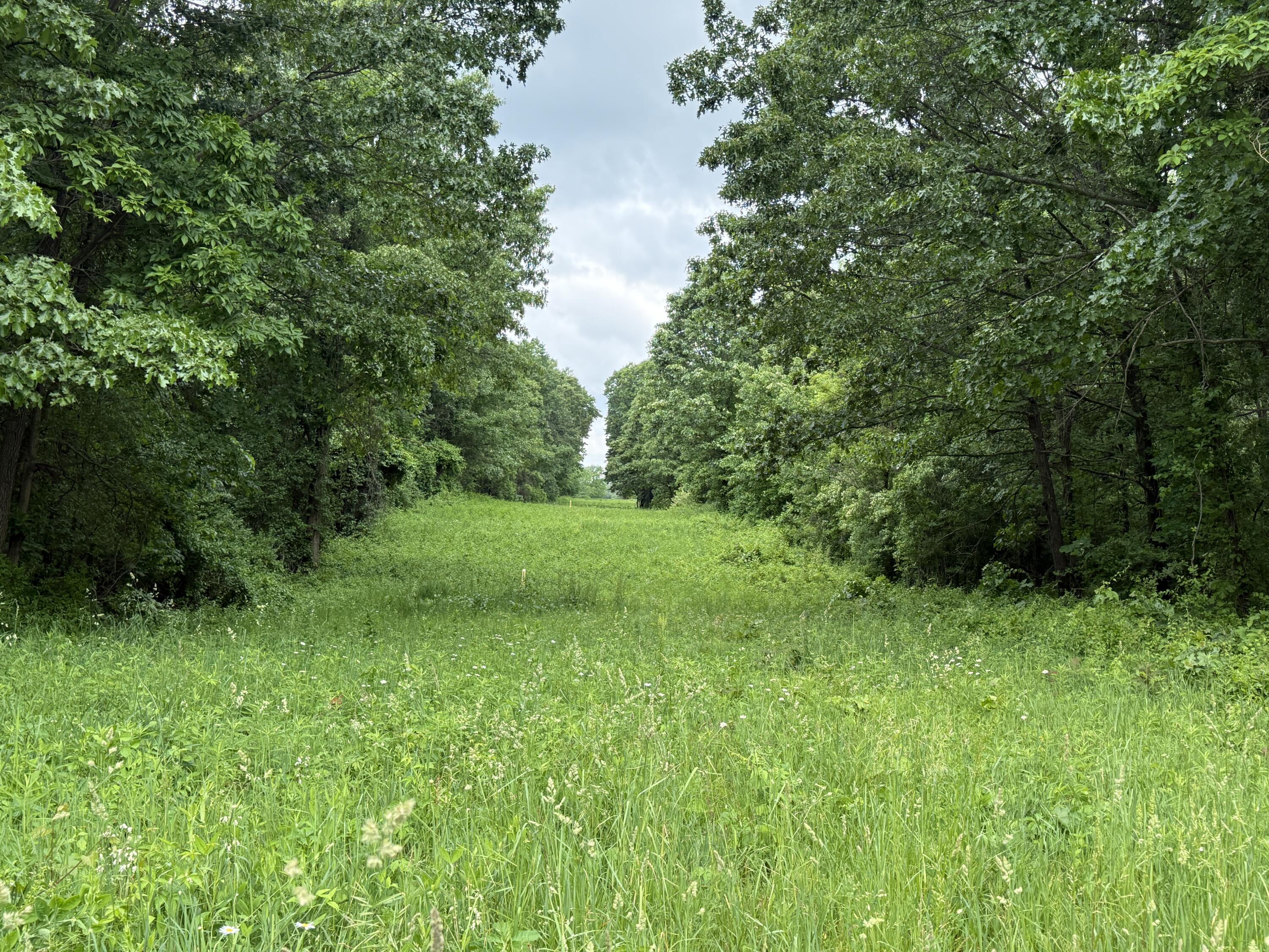 Vl 28 Mile Road Property Photo 4