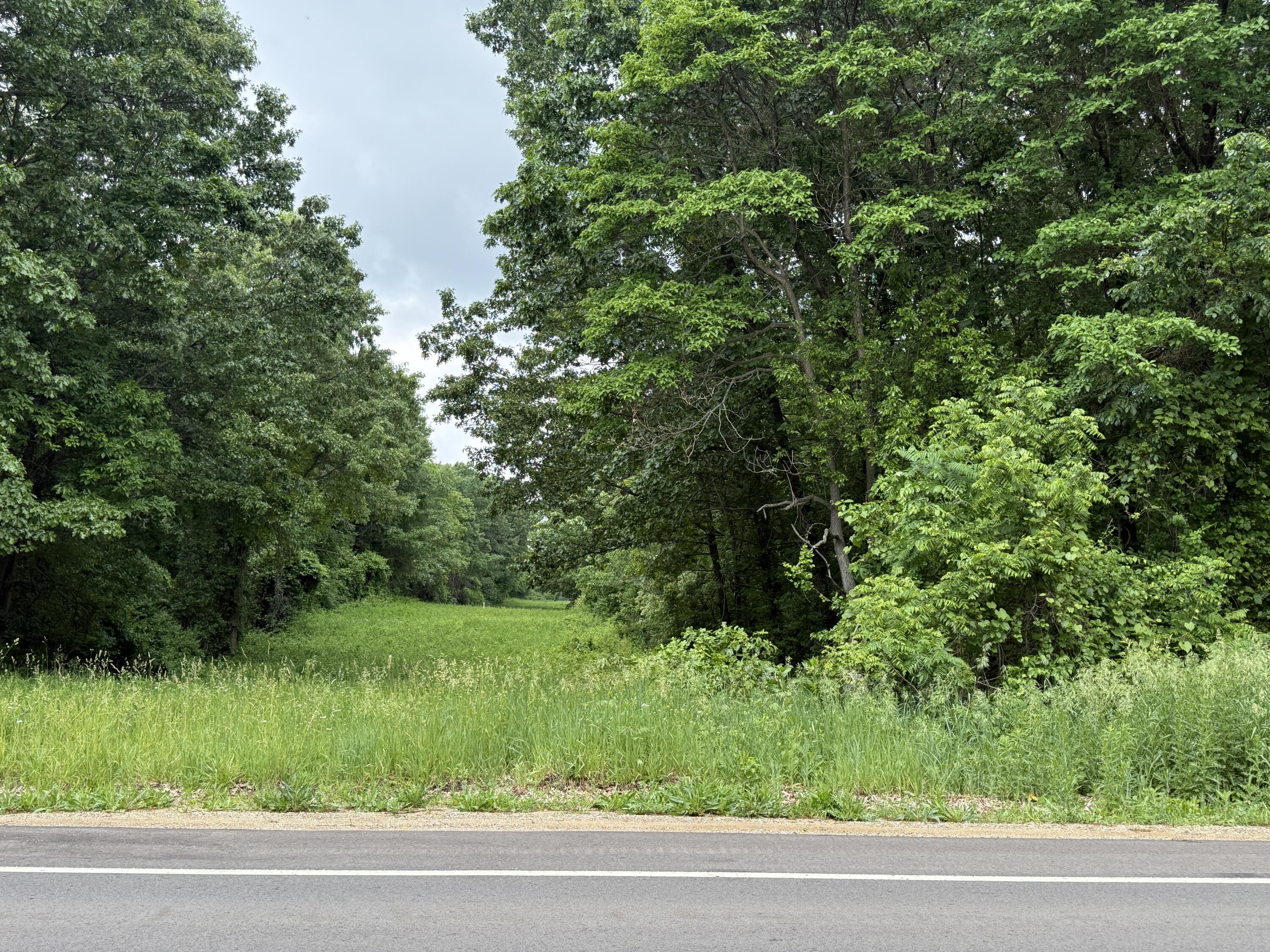 Vl 28 Mile Road Property Photo 5