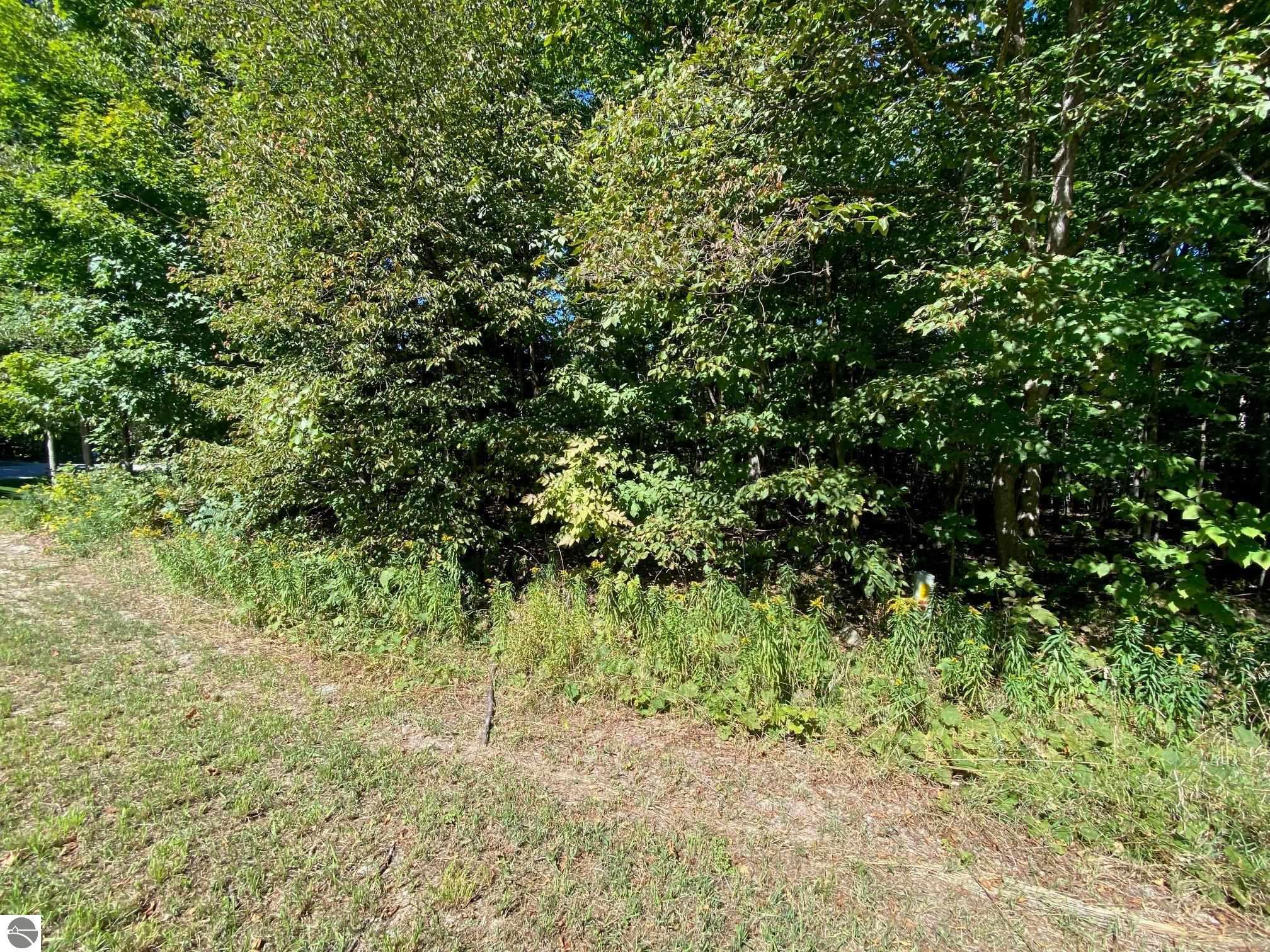 Lot 130 E Sugar Maple Drive Property Photo 1