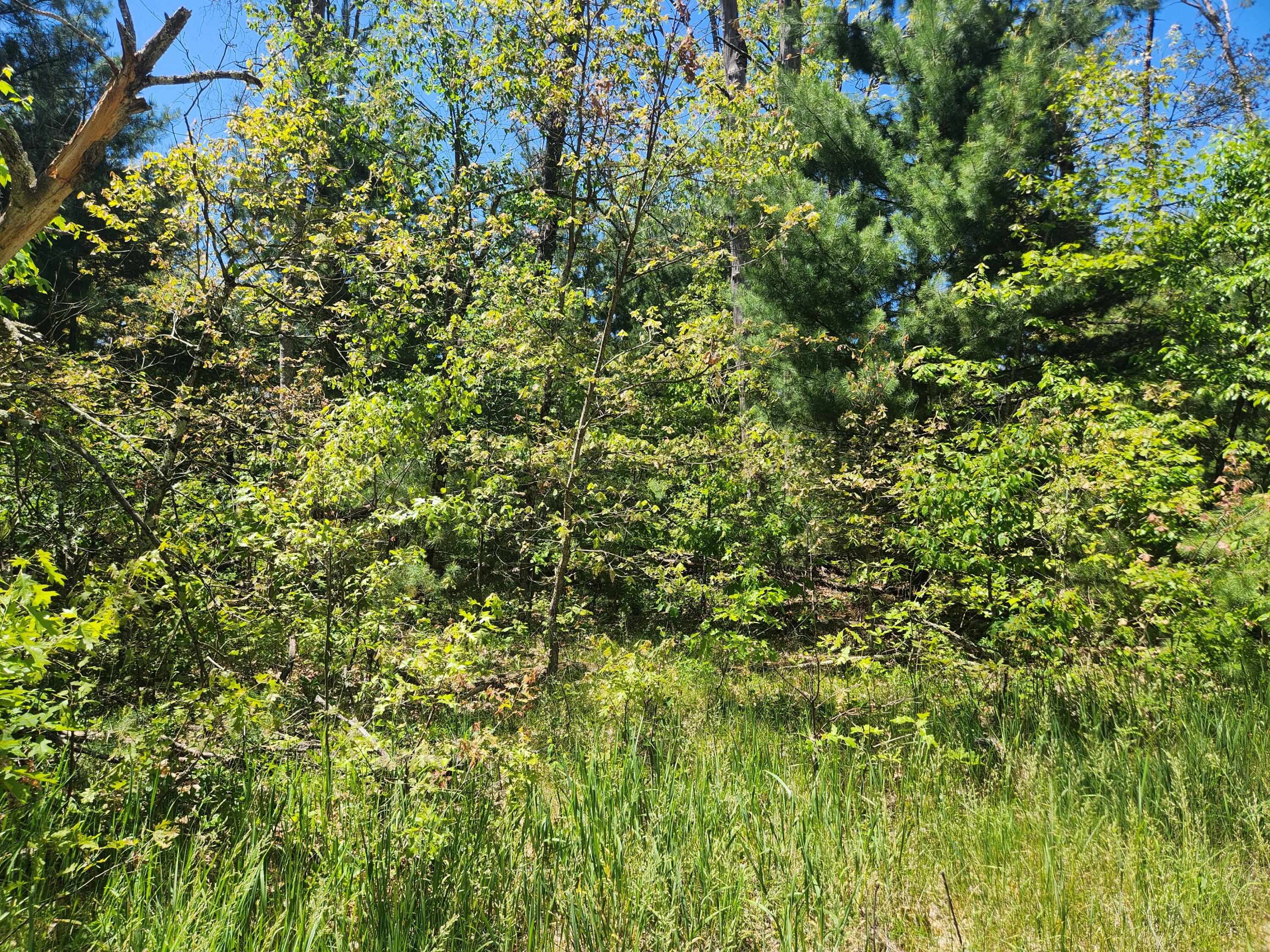 Vl S Delaware Avenue Property Photo 3