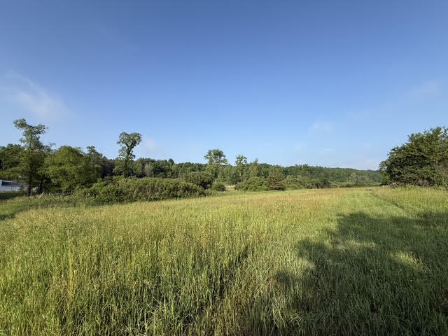 Parcel B E M-79 Property Photo 1
