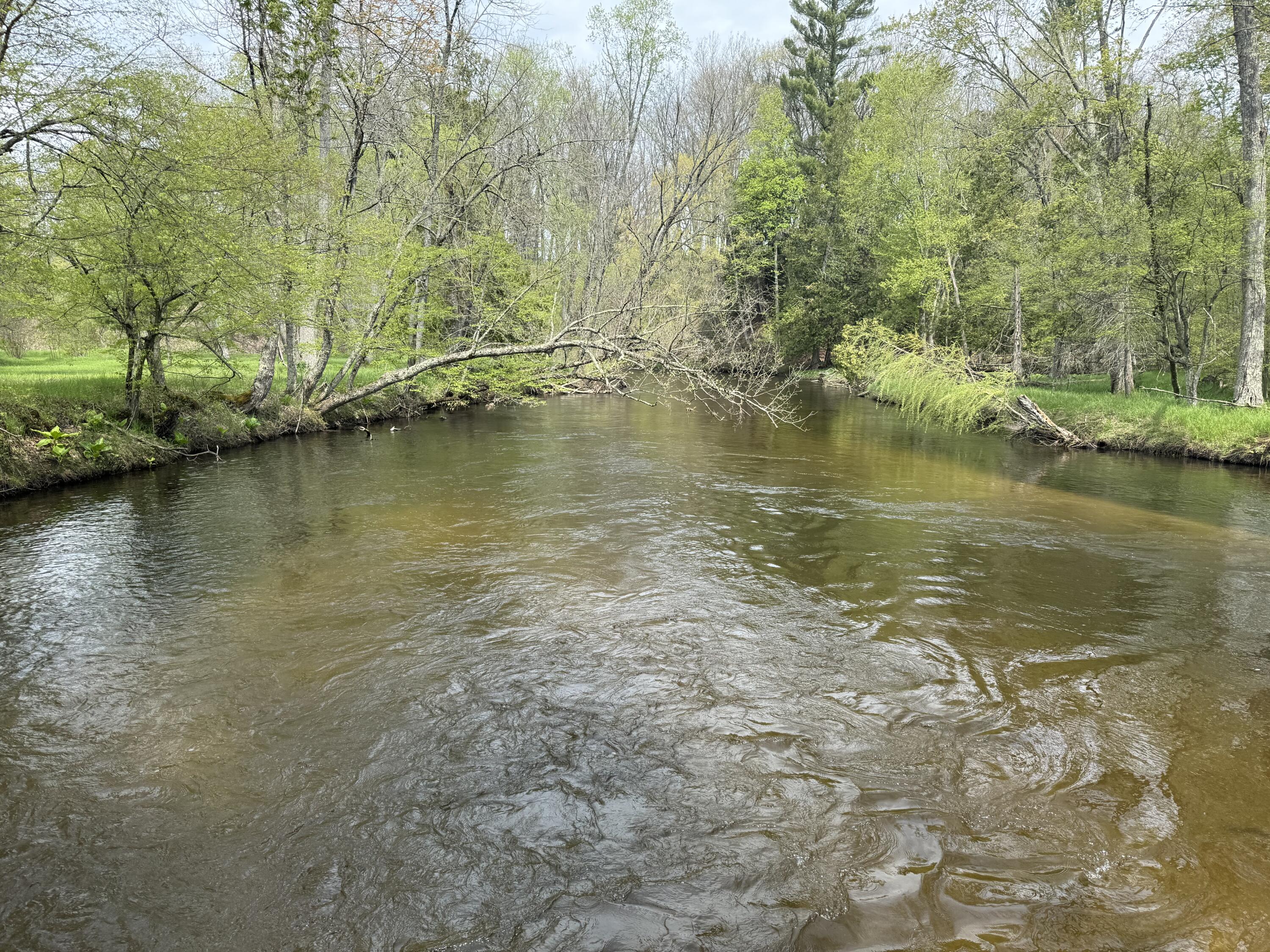 6378 S Mac Road Property Photo 10