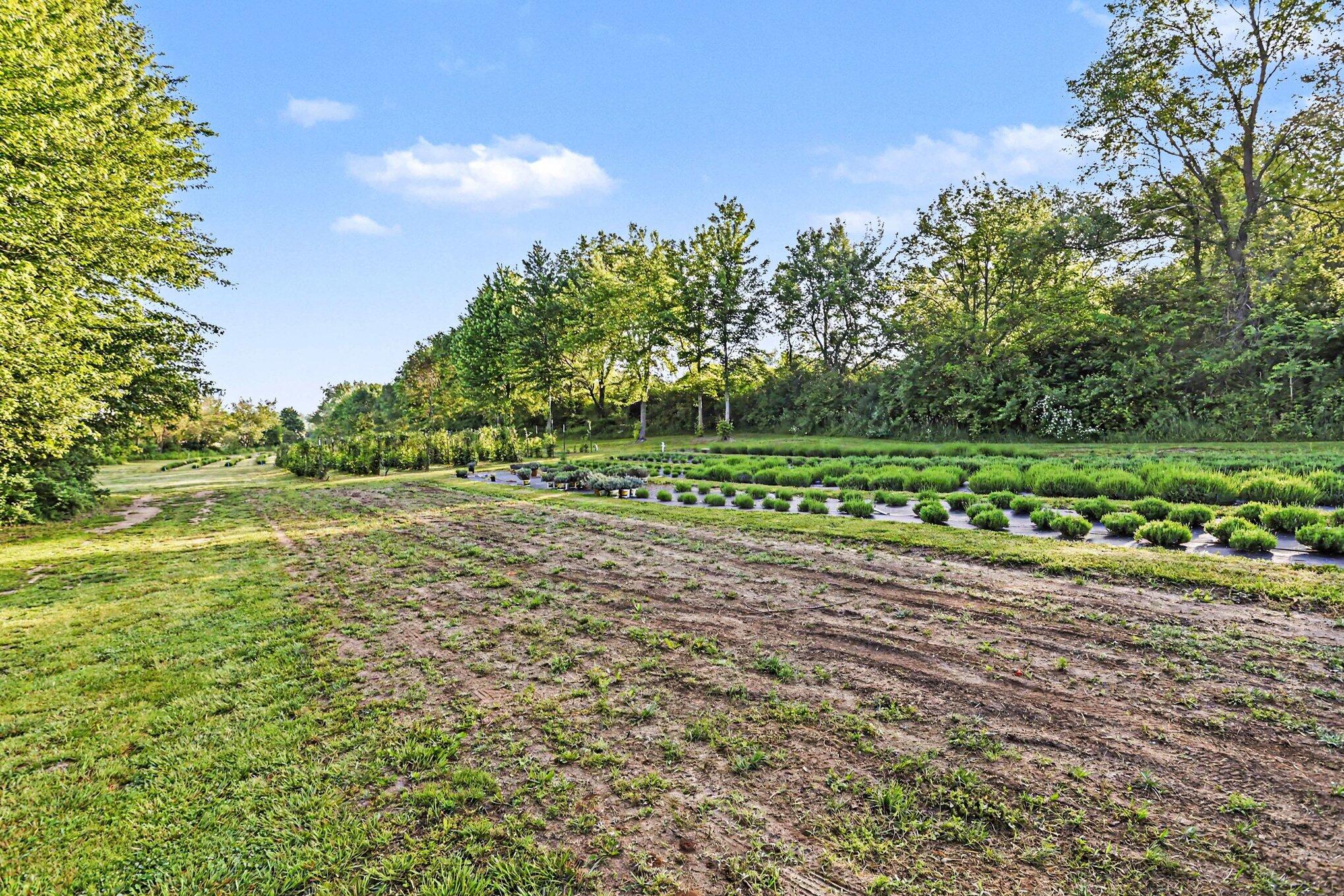 2175 E Hinchman Road Property Photo 38