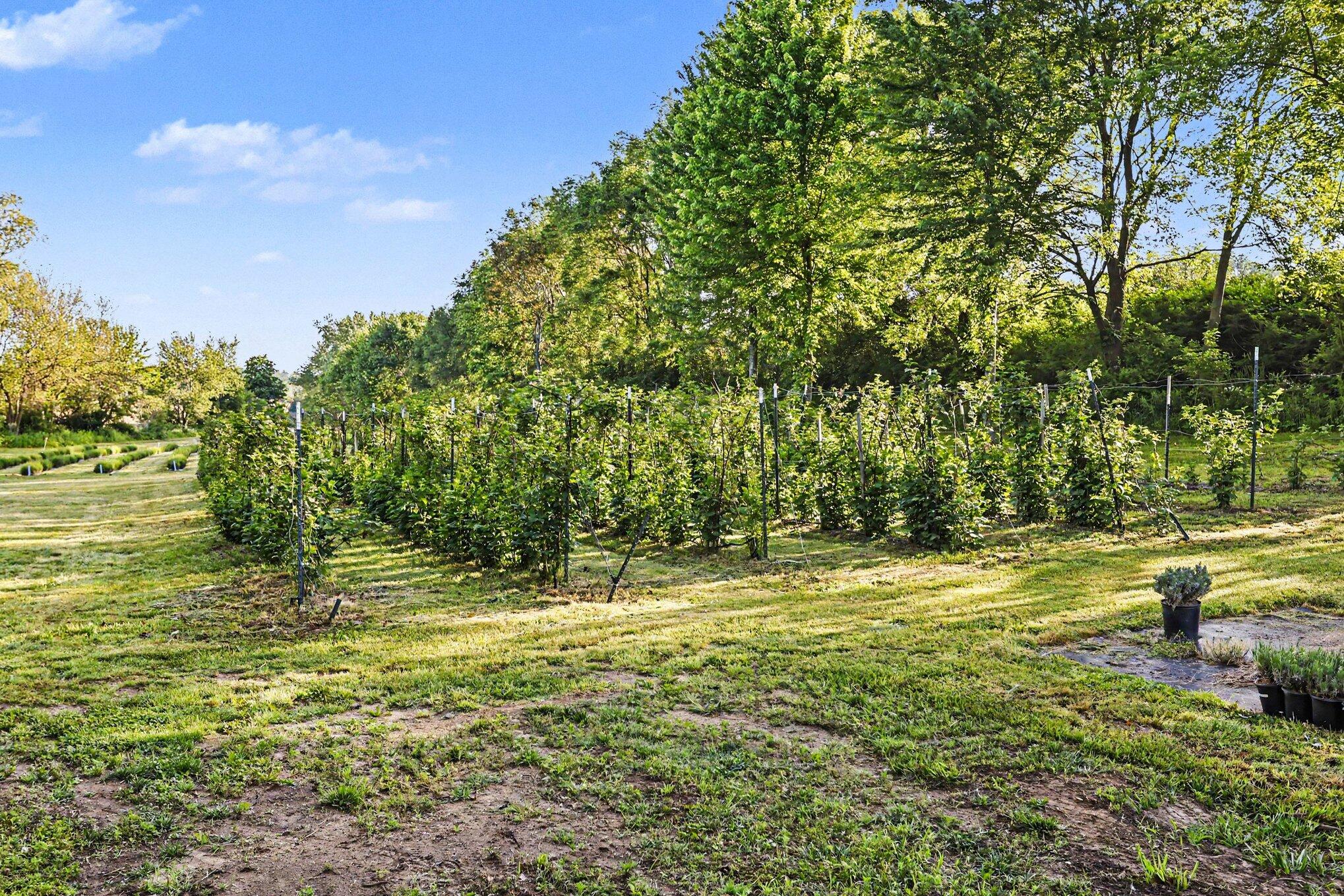 2175 E Hinchman Road Property Photo 39