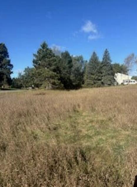 7021 Southwest Drive Property Photo 5