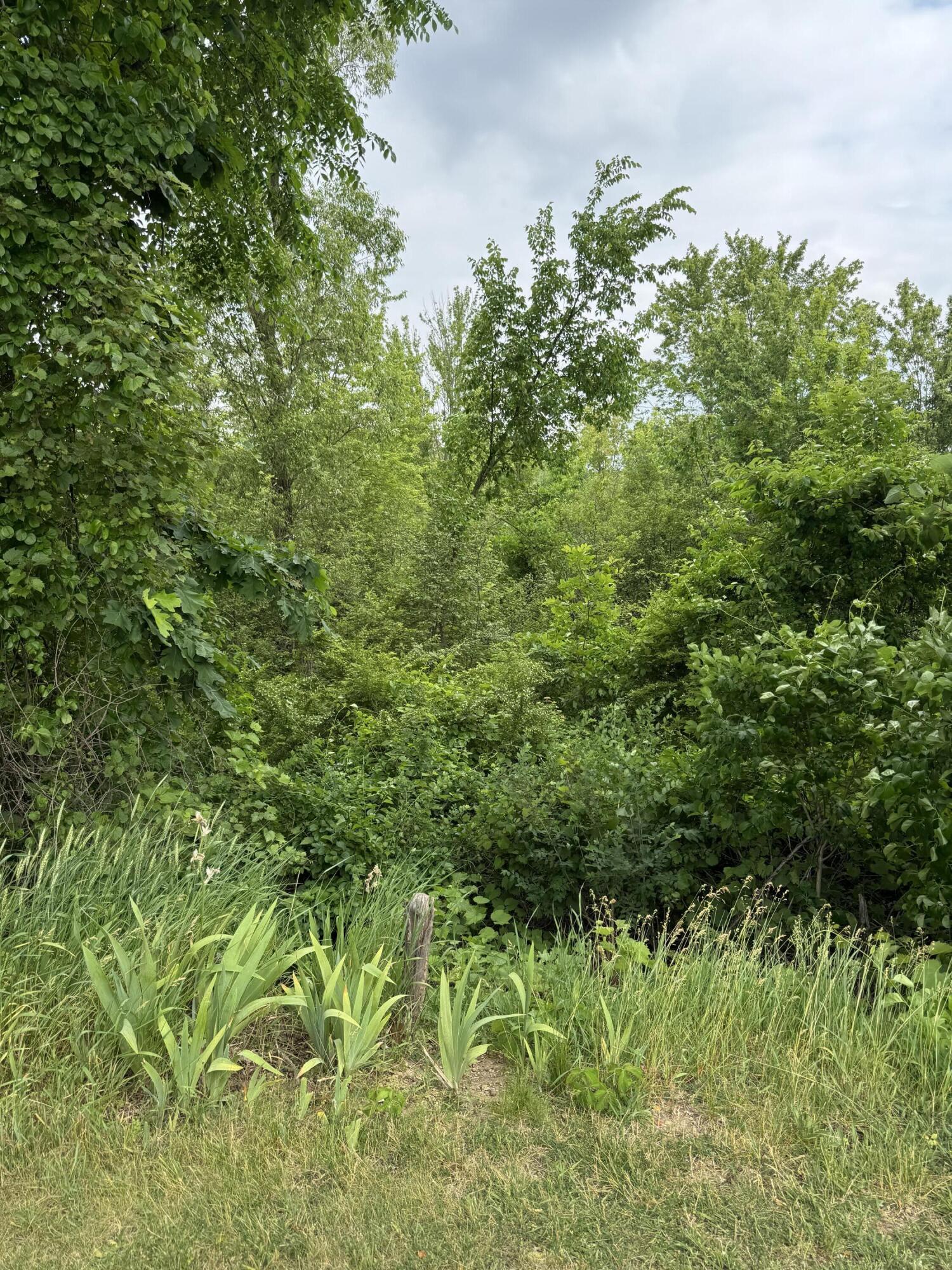 818 Raisin River Road Property Photo 25