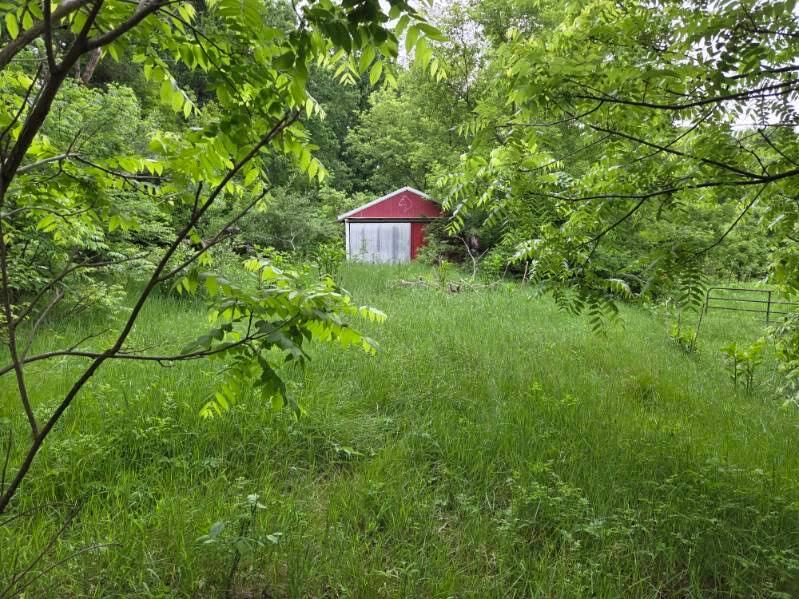 6980 Wooster Road Property Photo 14