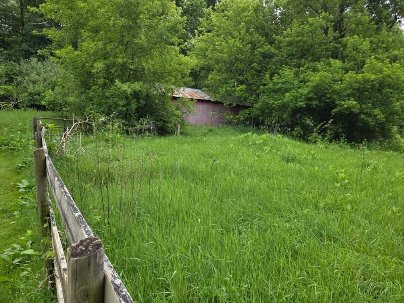 6980 Wooster Road Property Photo 15