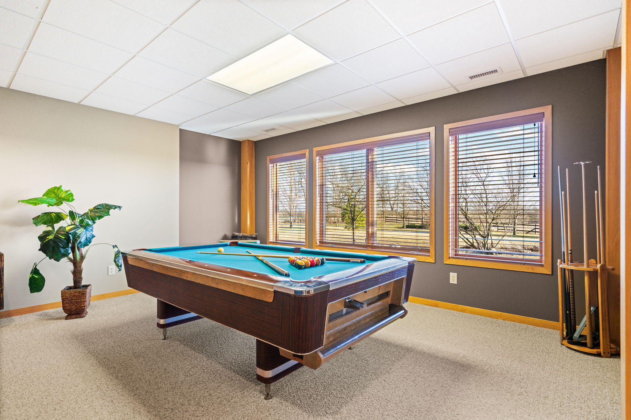 5665 Braun Road Property Photo 83