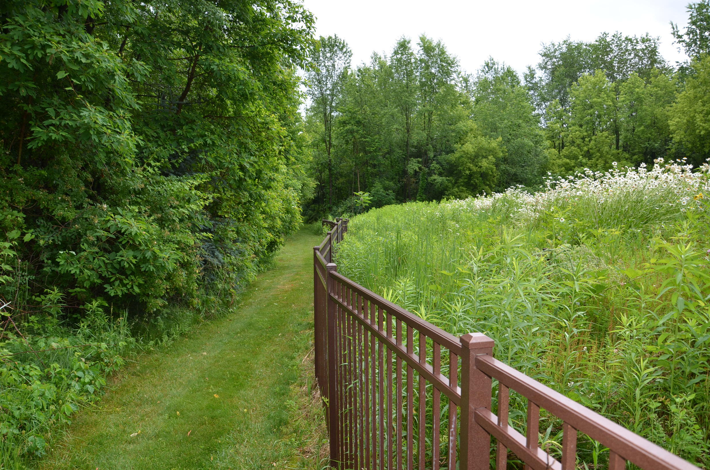 8874 1 Mile Road Property Photo 75