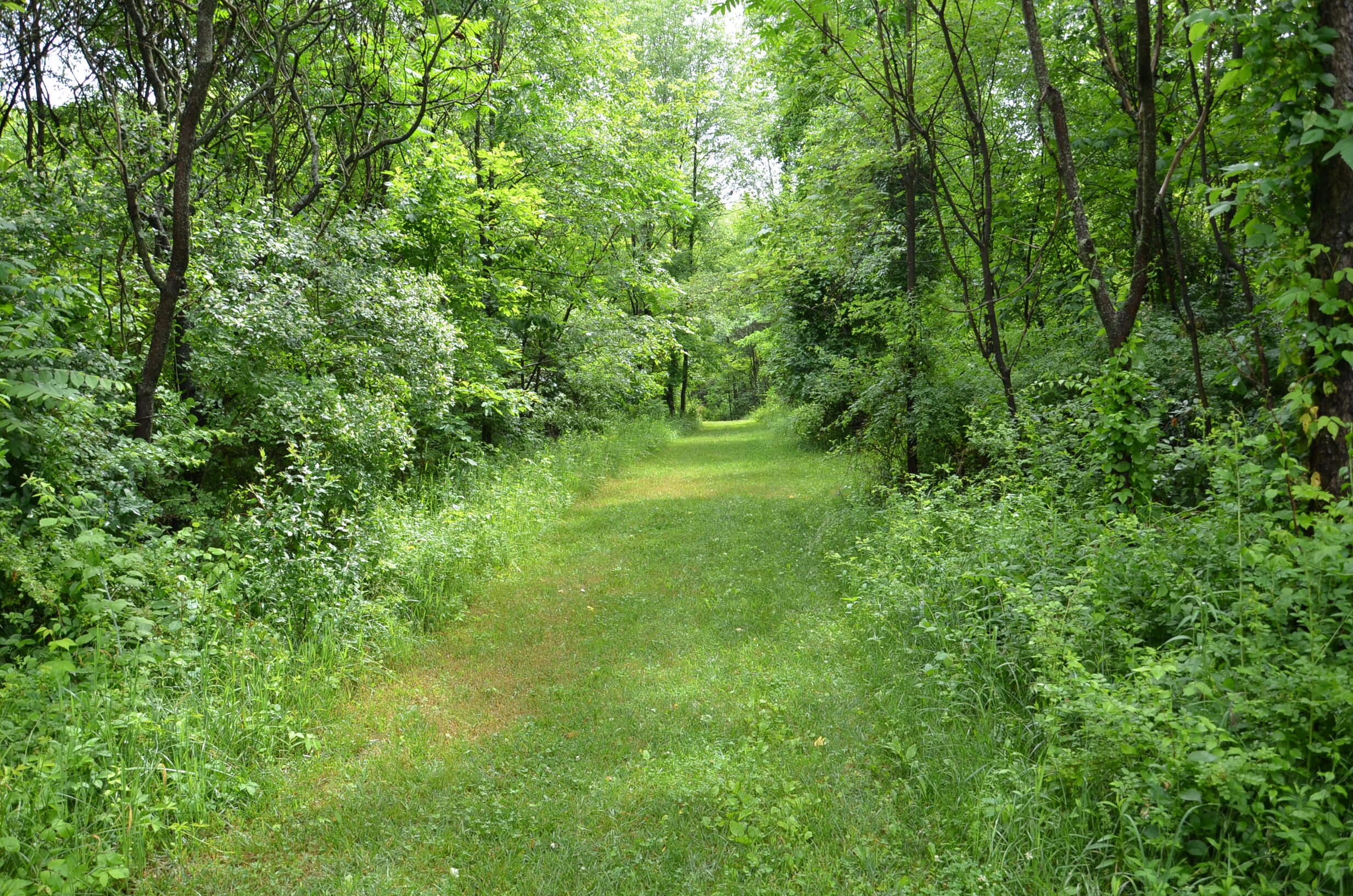 8874 1 Mile Road Property Photo 76