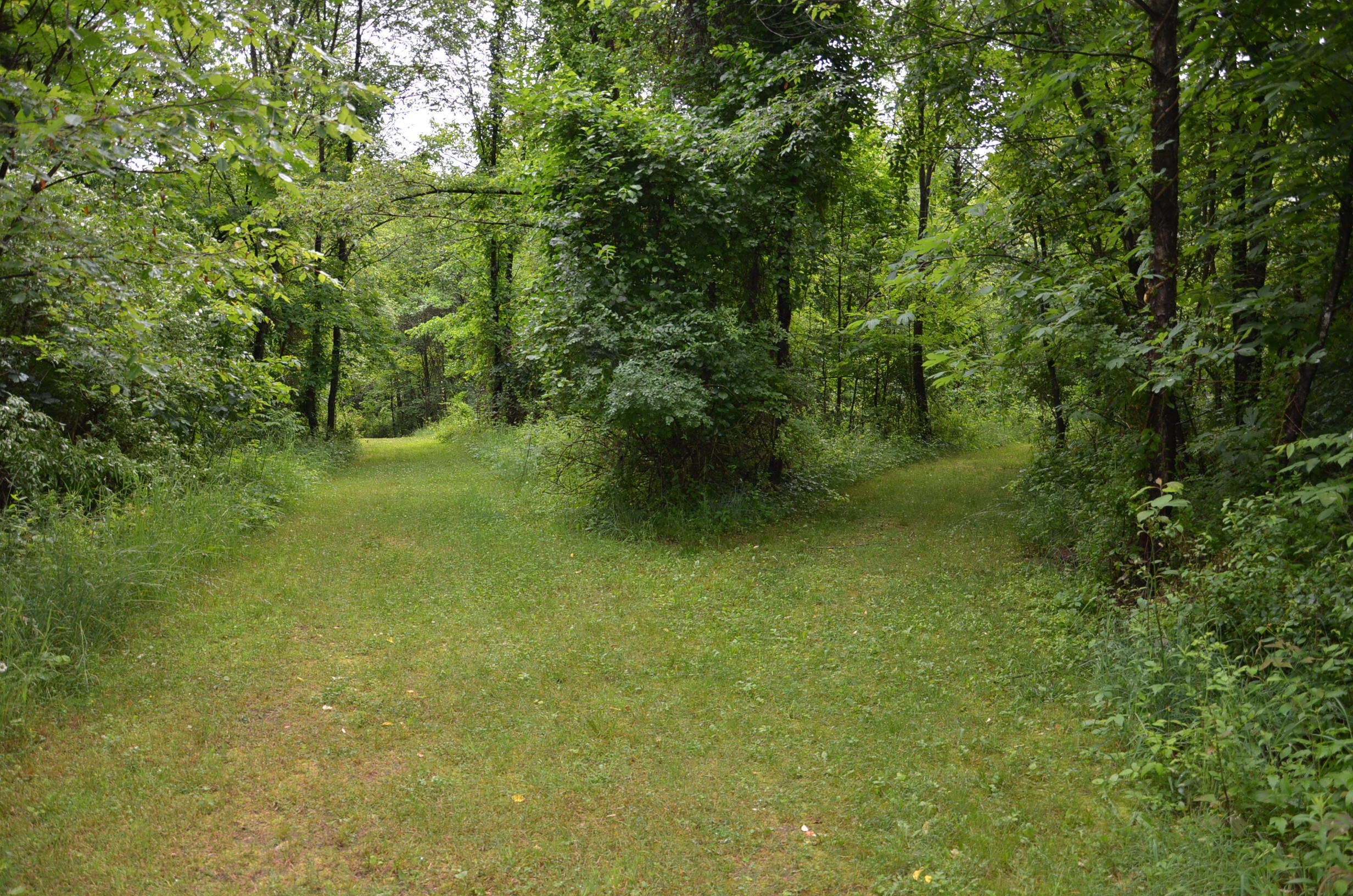 8874 1 Mile Road Property Photo 77