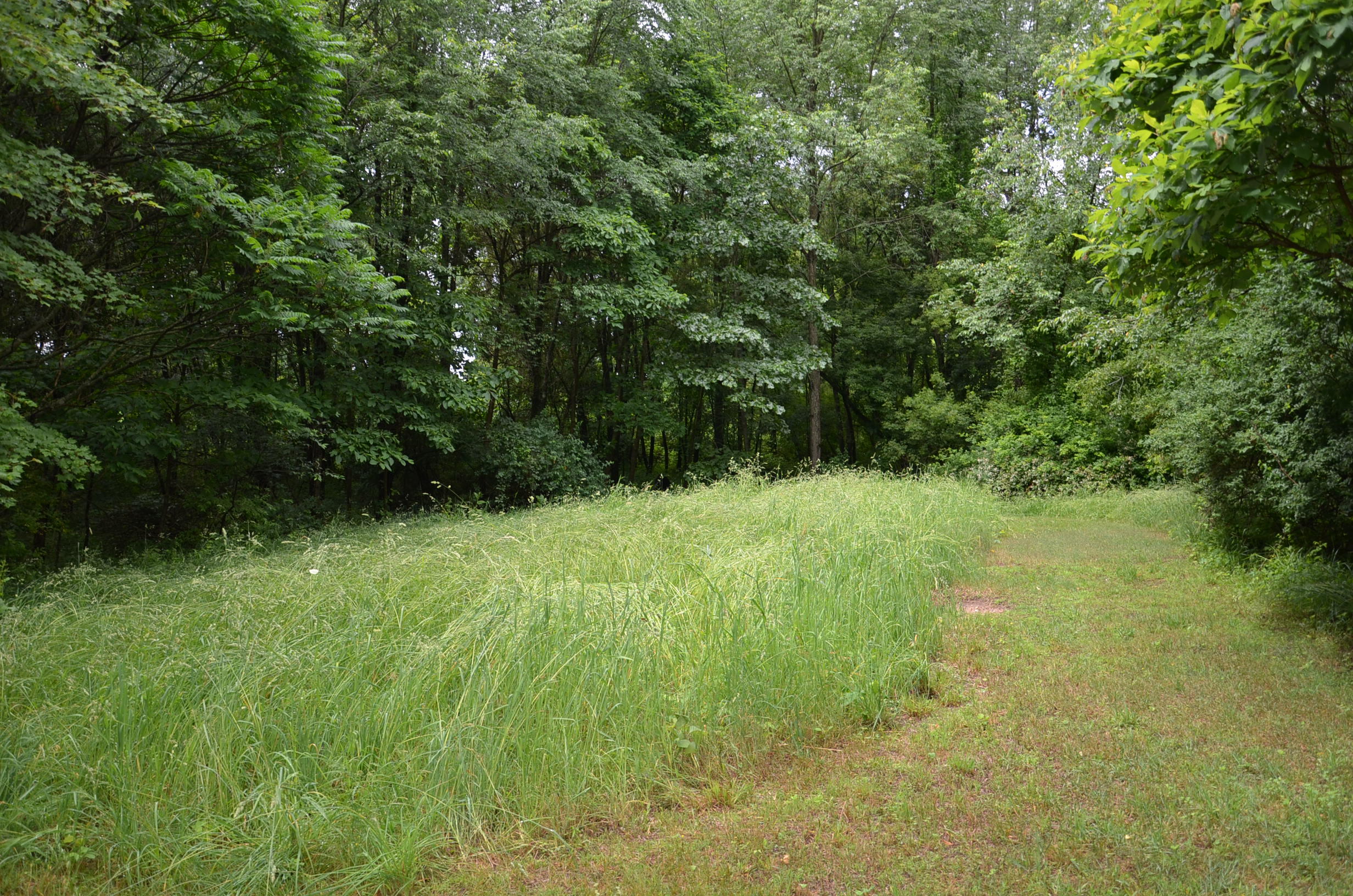 8874 1 Mile Road Property Photo 80