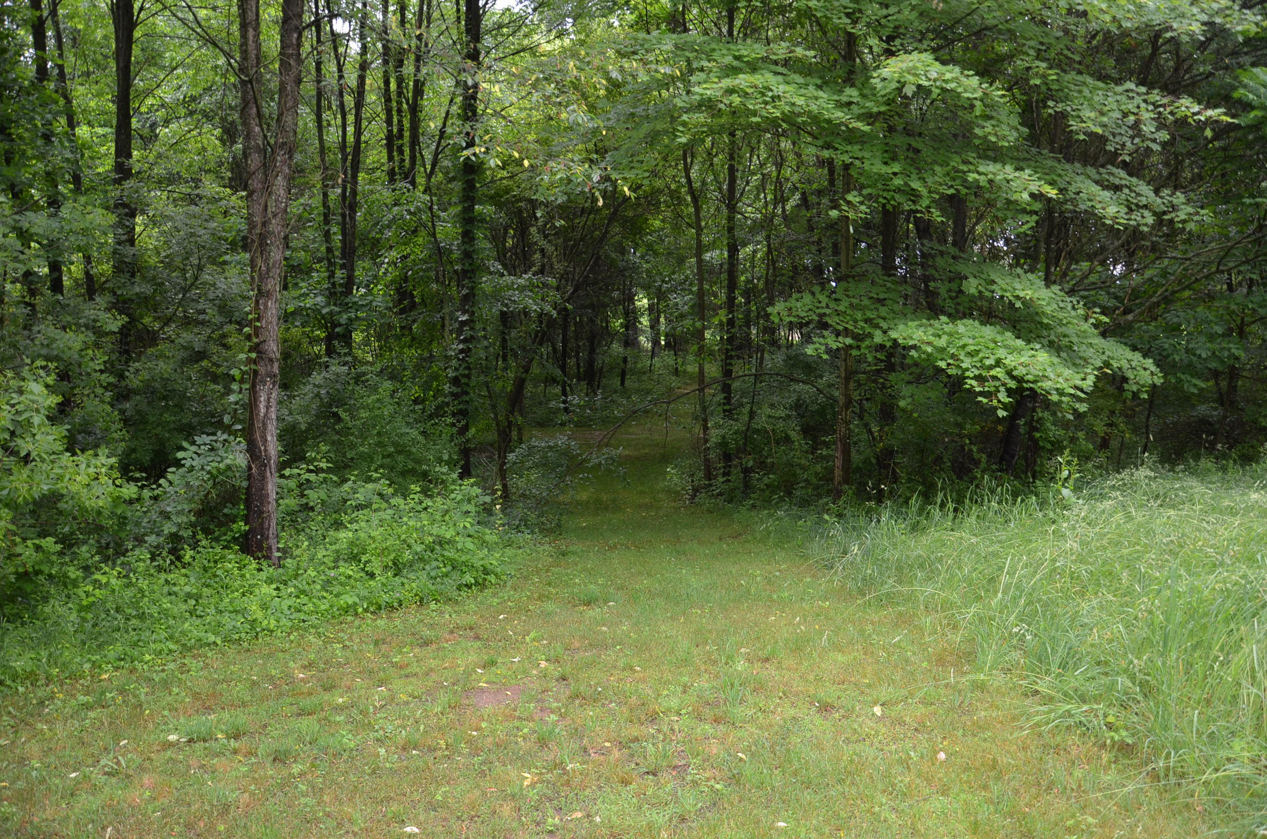8874 1 Mile Road Property Photo 81