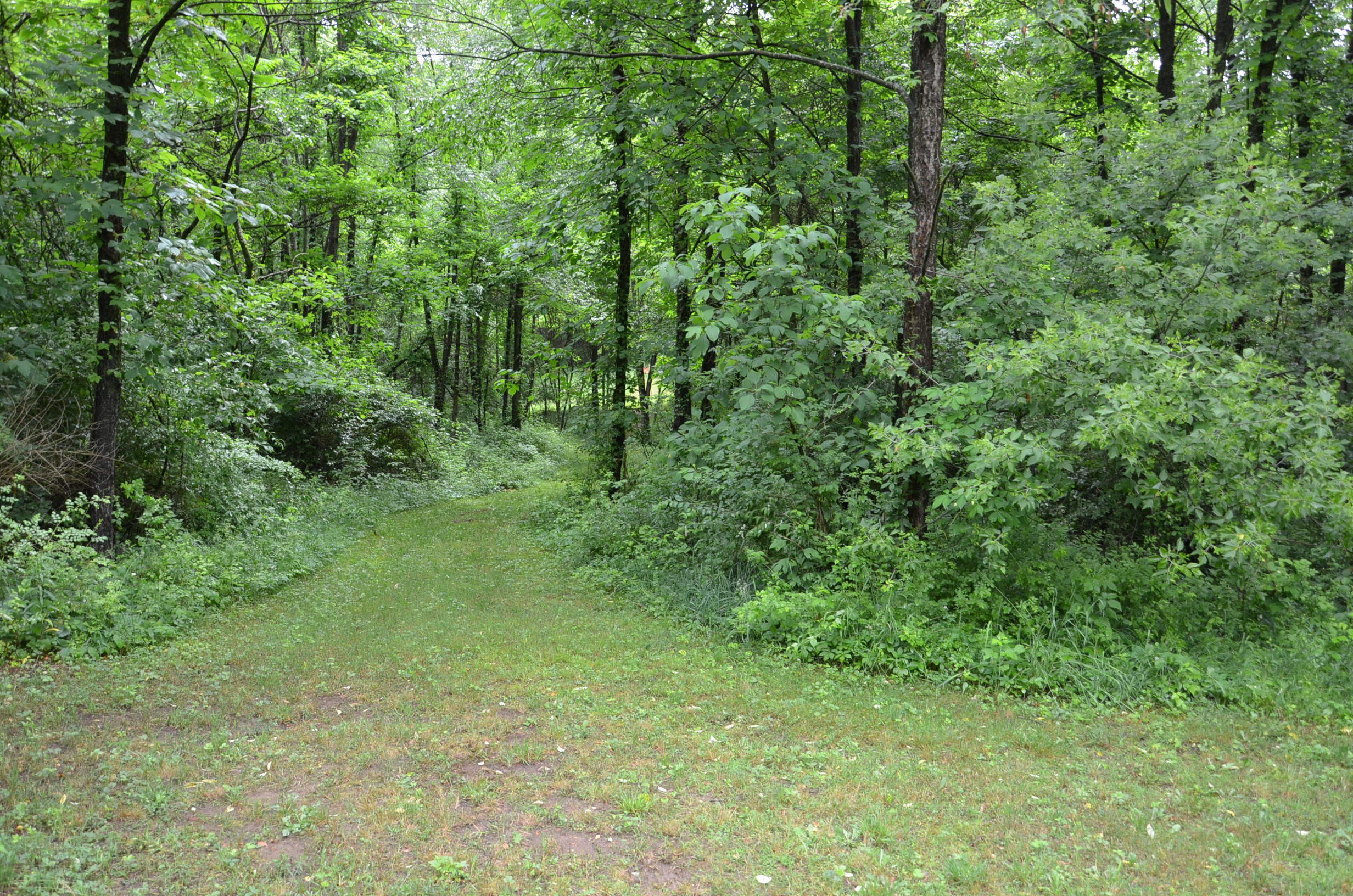 8874 1 Mile Road Property Photo 82