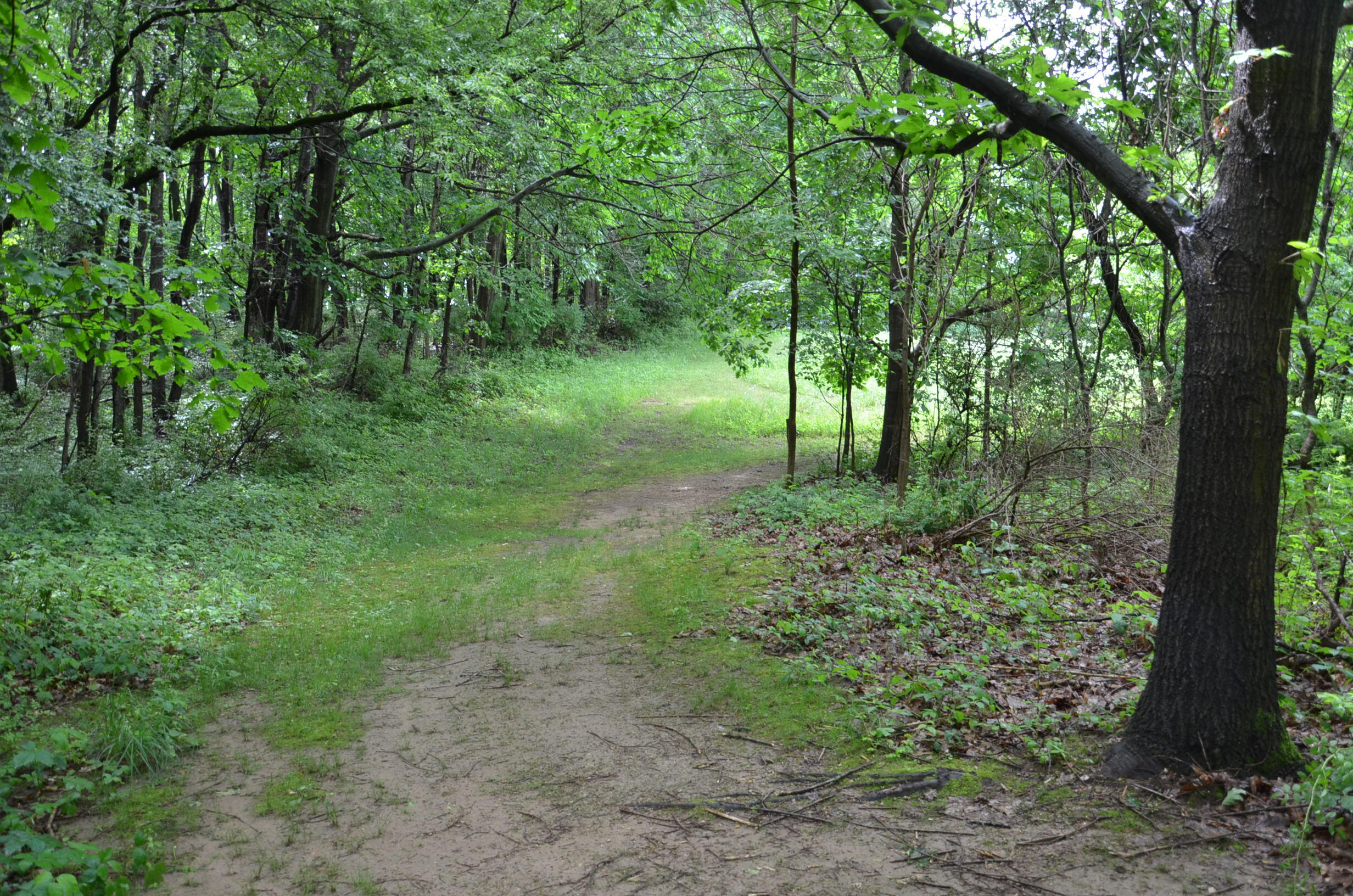 8874 1 Mile Road Property Photo 83