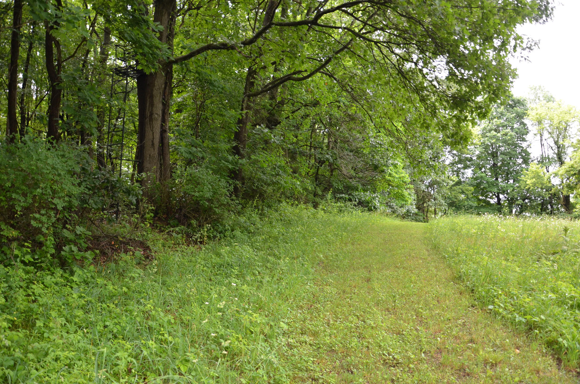 8874 1 Mile Road Property Photo 84