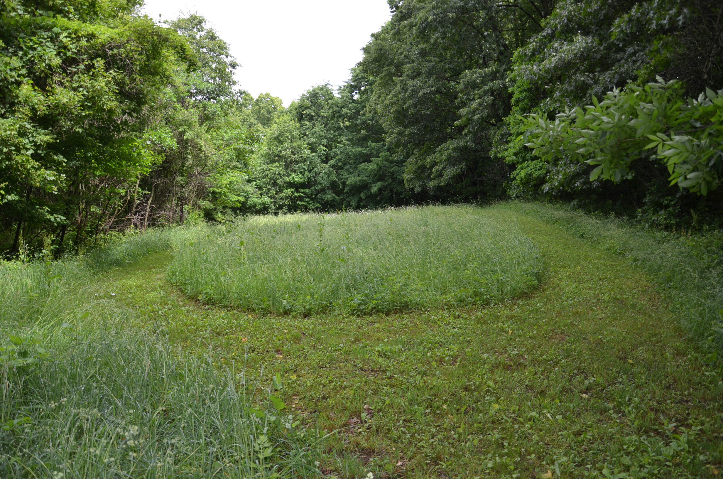 8874 1 Mile Road Property Photo 86